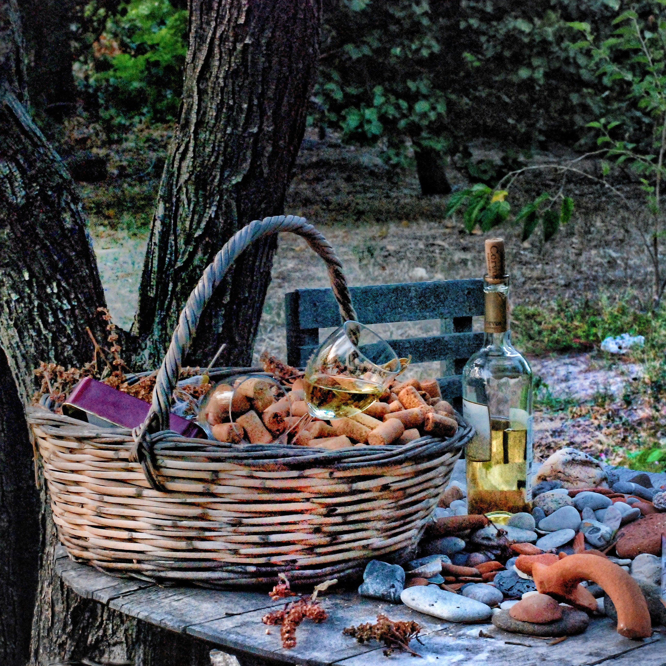 Elegant natural wine bottles arranged on a rustic wooden table with wine glasses