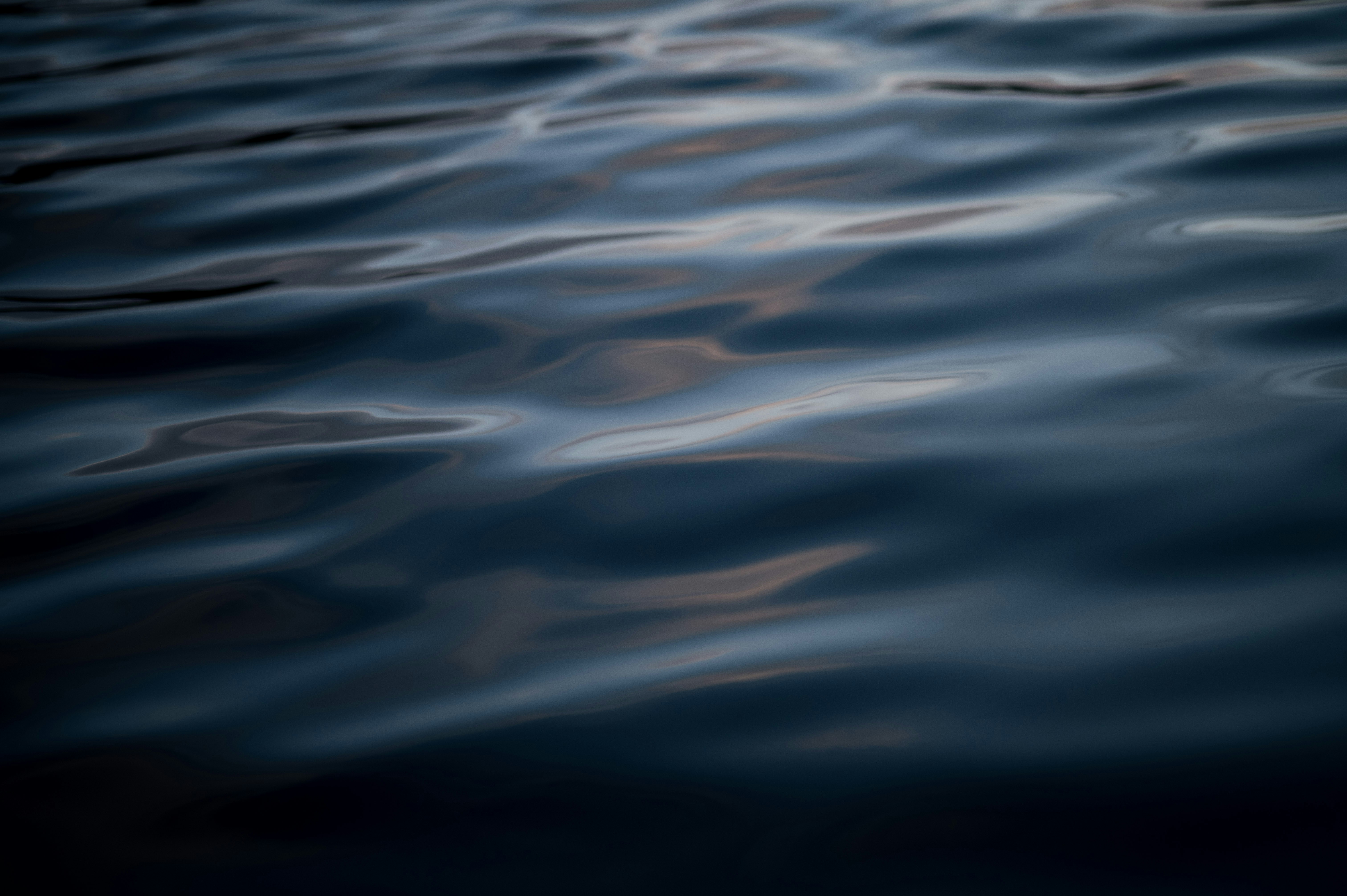 Photo by lachlangowen