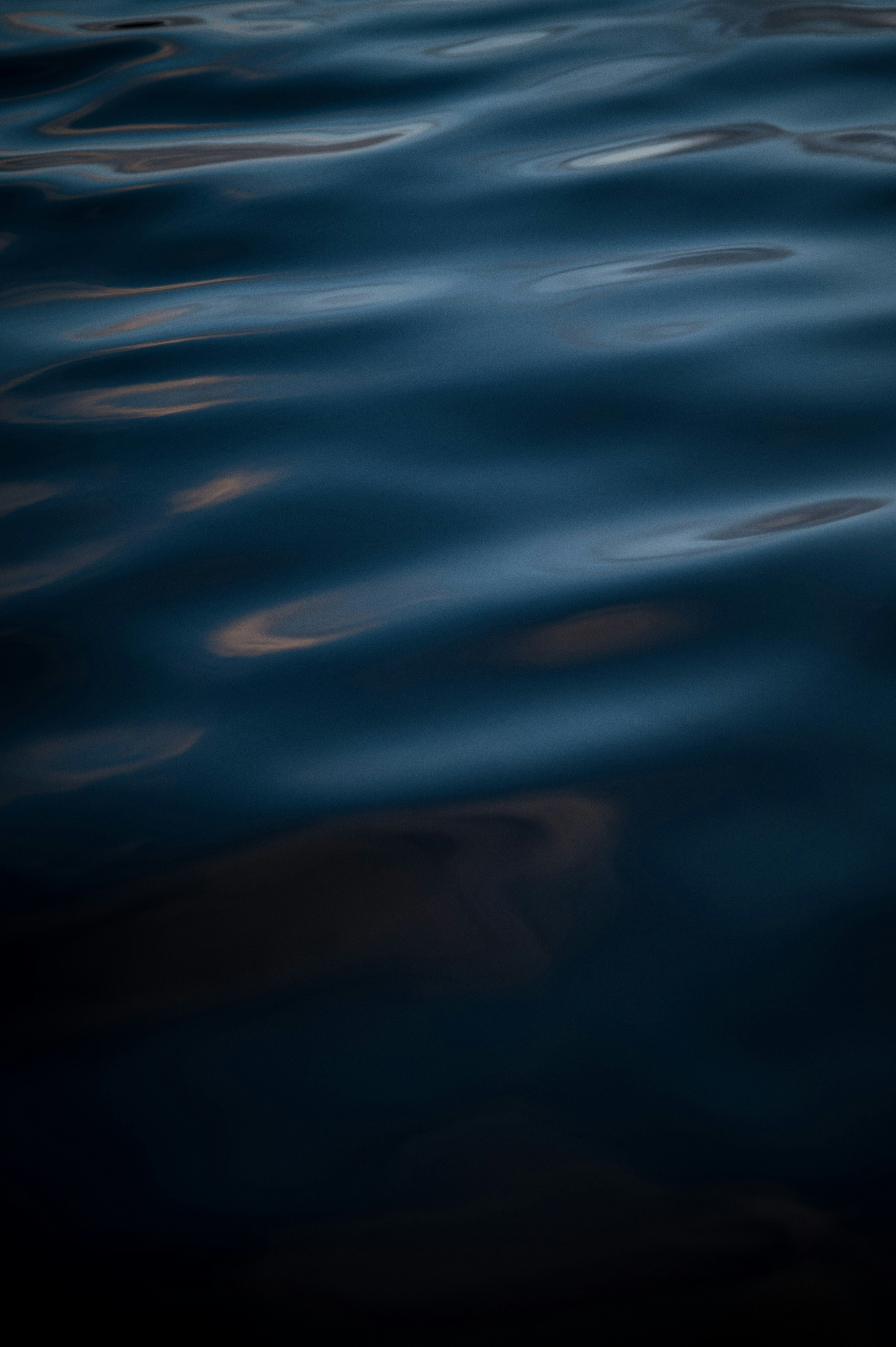 Photo by lachlangowen