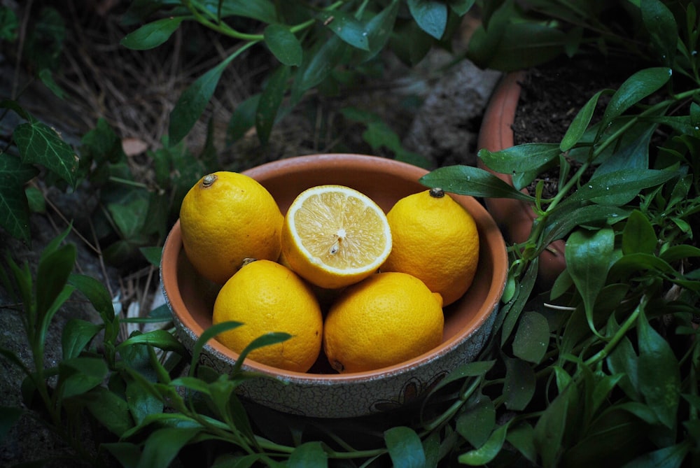 orange fruits on brown ceramic bowl