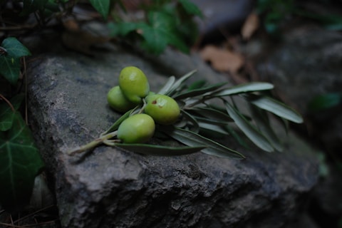 green round fruit on black surface