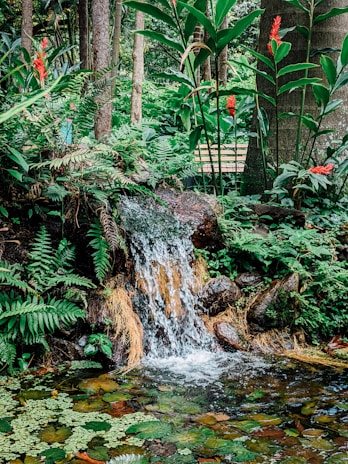 A small waterfall cascades over rocks surrounded by lush green foliage, including ferns and large-leafed plants. Red tropical flowers sporadically add color to the scene, enhancing the natural beauty. A pond filled with floating lily pads is situated at the base of the waterfall.
