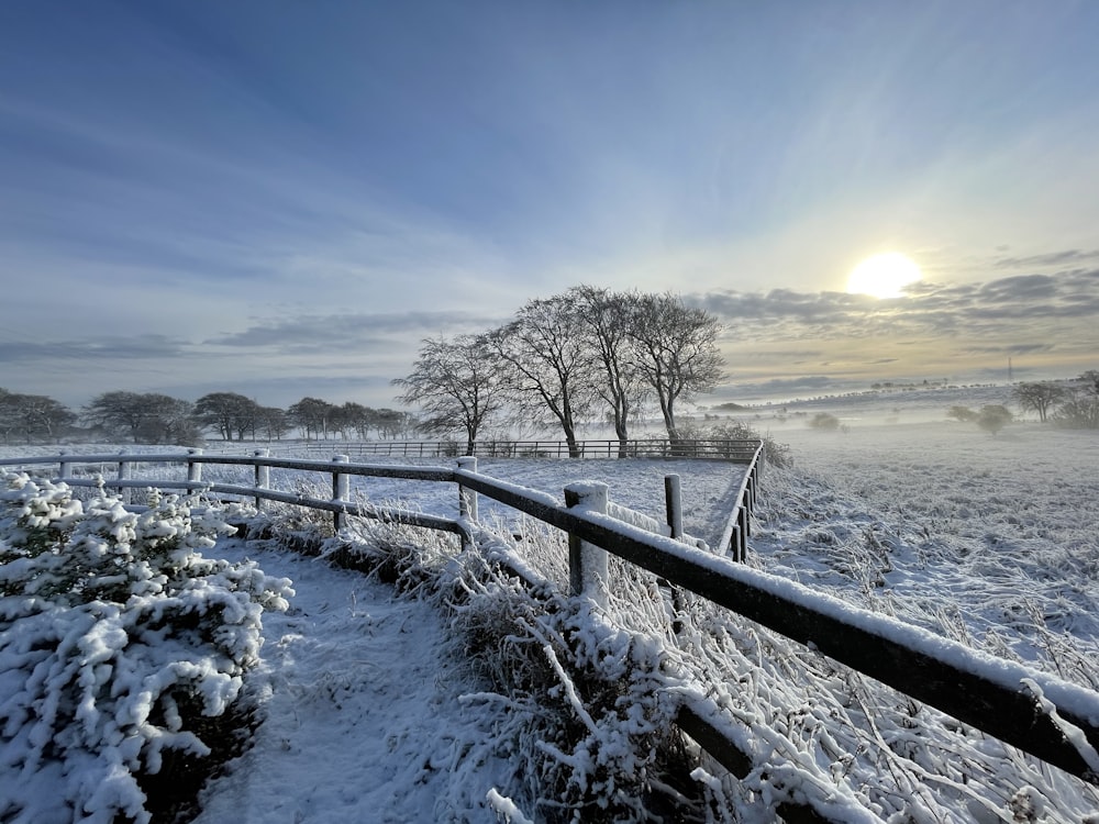 snow covered field and trees during daytime