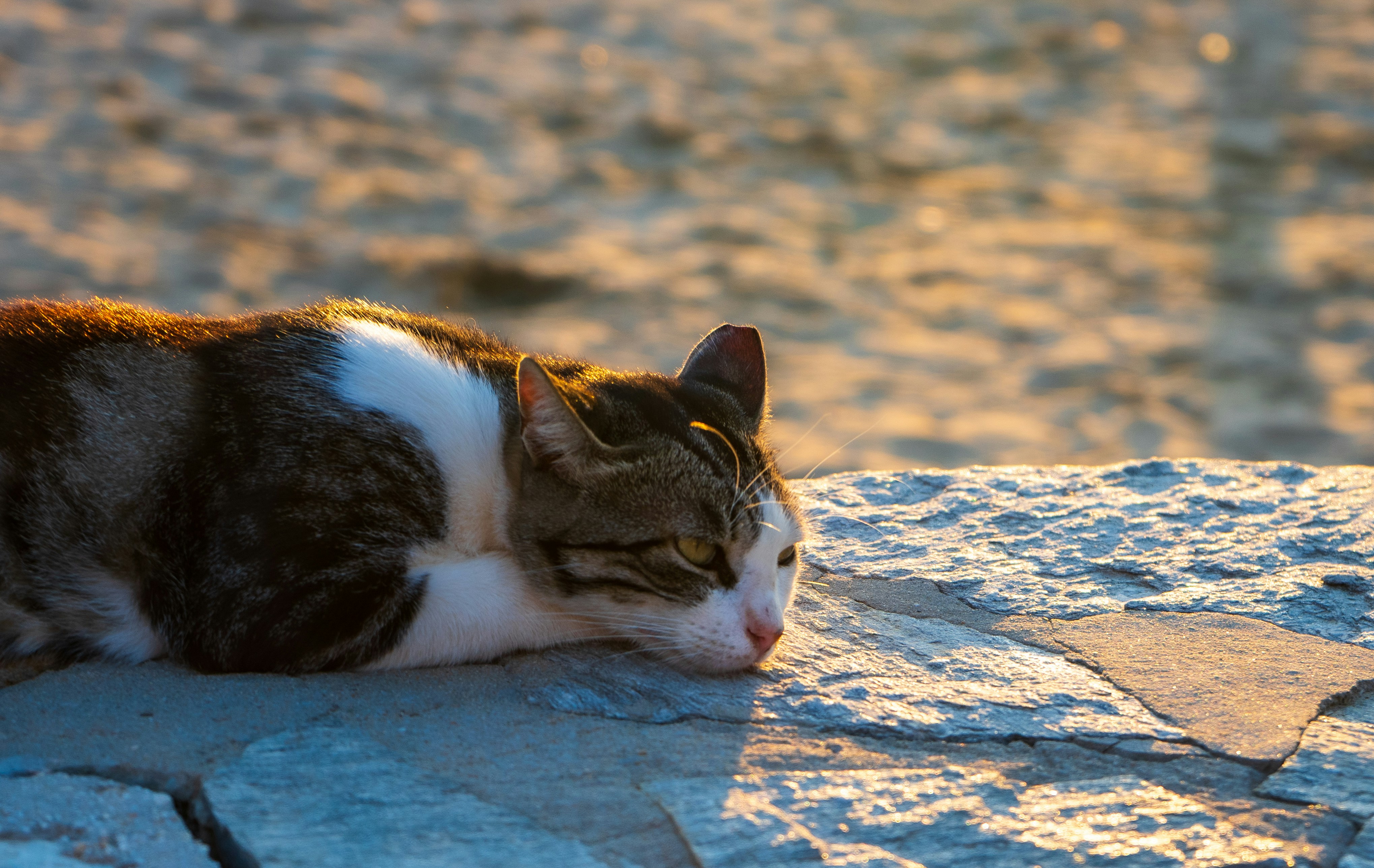 Photo by sergejs_horoshman