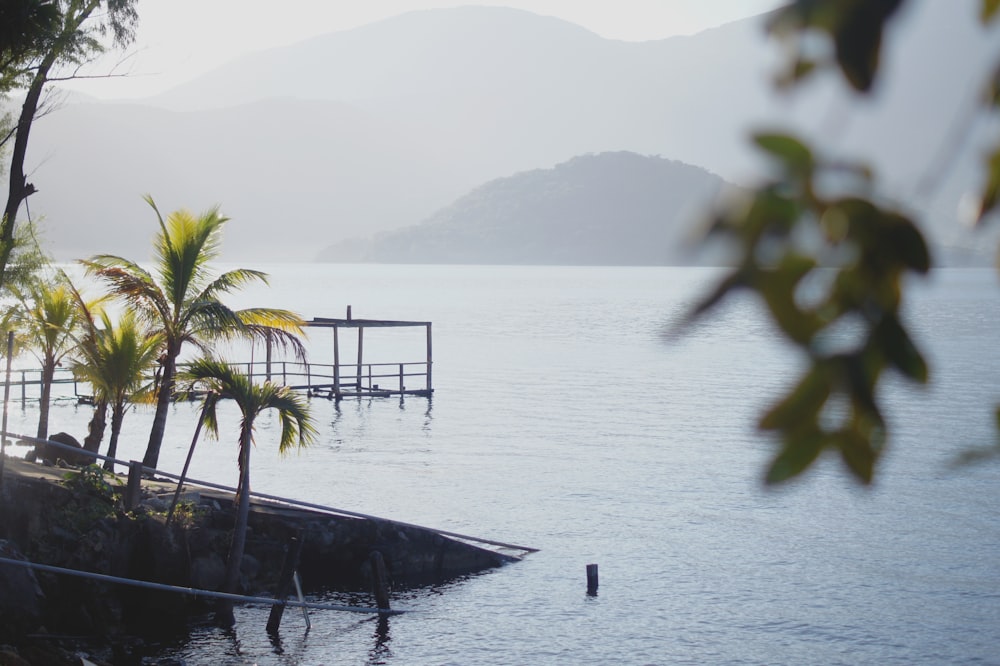 brown wooden dock on body of water during daytime