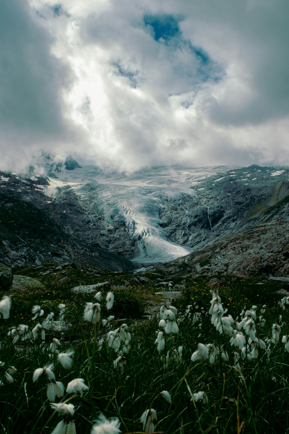 green grass field near snow covered mountains under cloudy sky during daytime