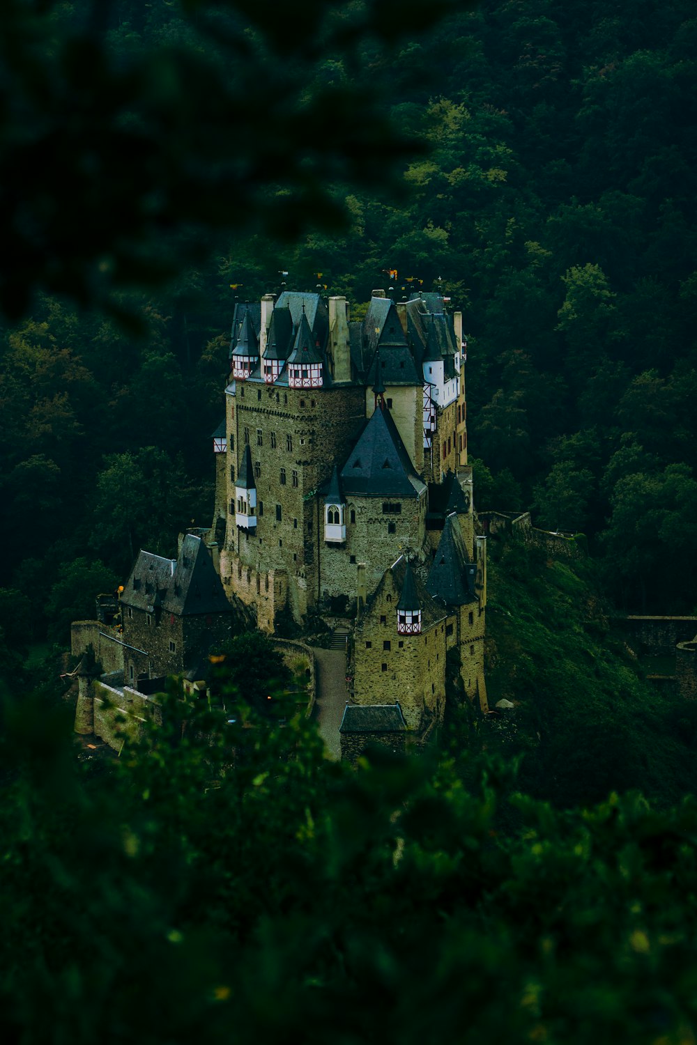 Castillo de hormigón gris en la parte superior del bosque verde durante la noche