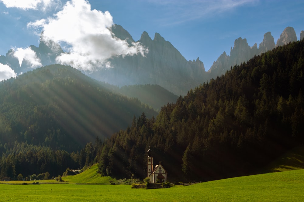 green grass field near green trees and mountains during daytime