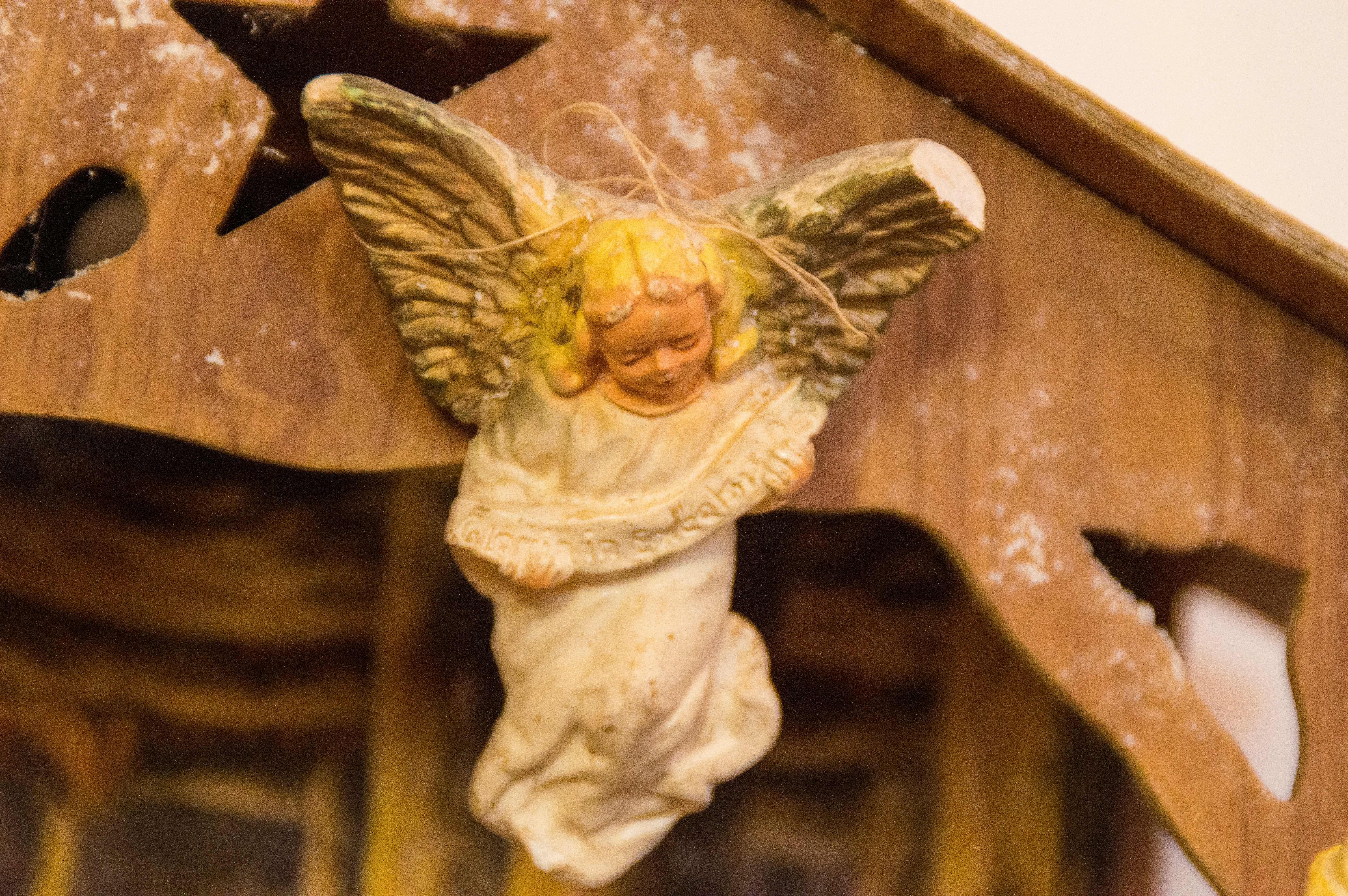 Embroidered Angel Hoodie