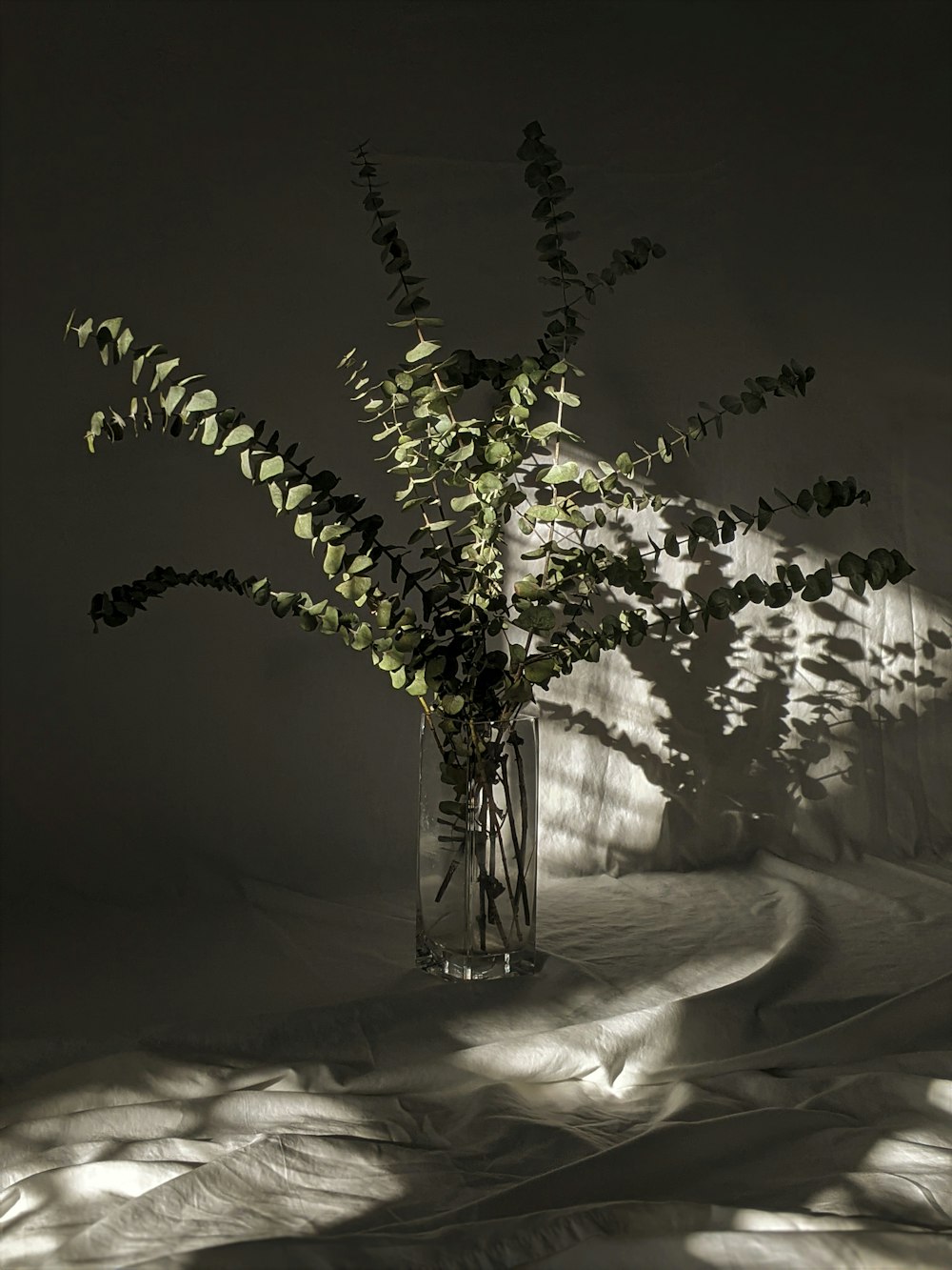 green plant covered with snow