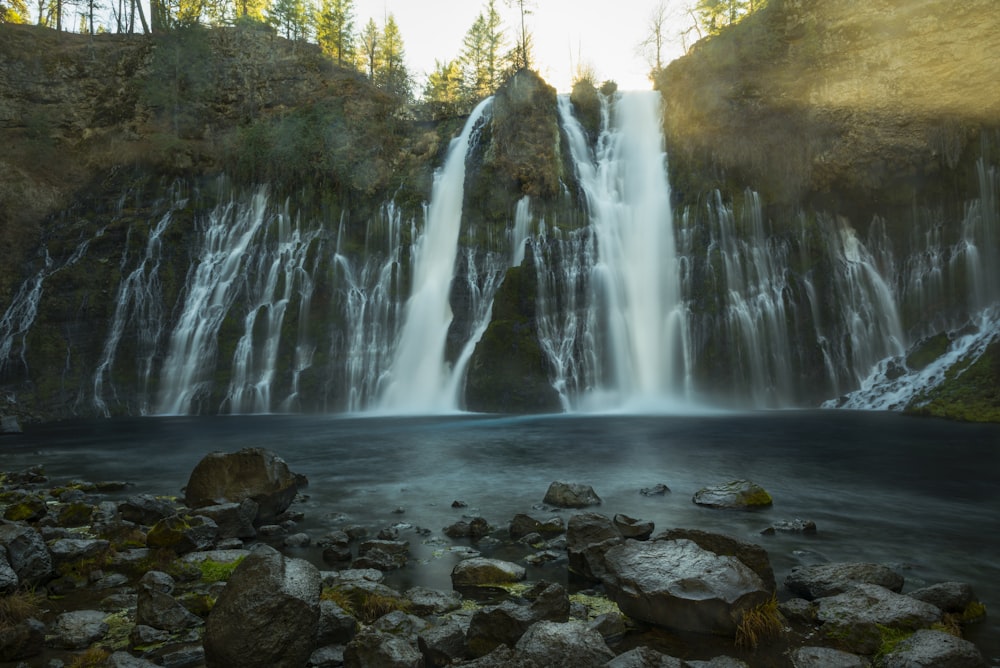 waterfalls in the forest during daytime