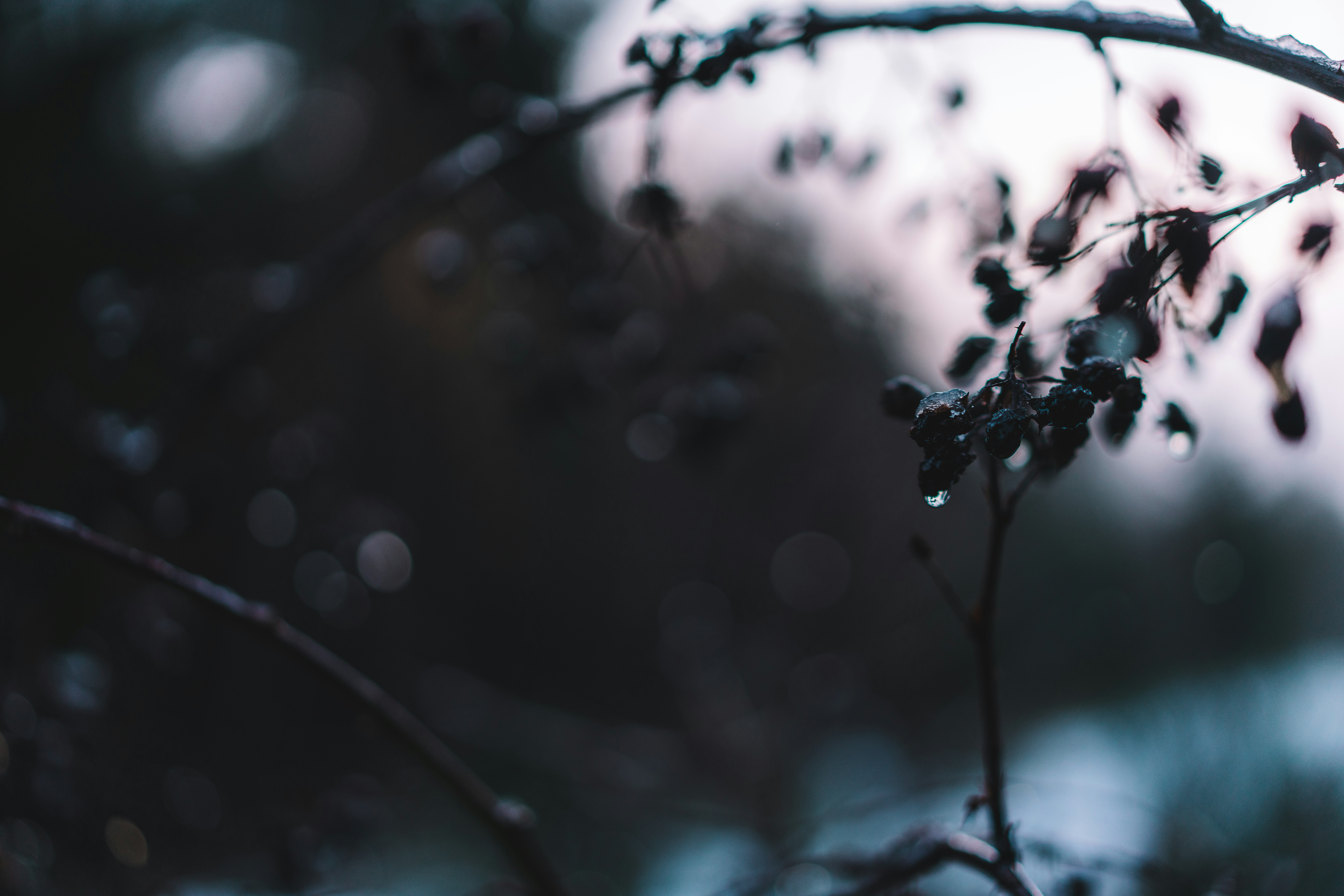 Photo by mirkosphoto