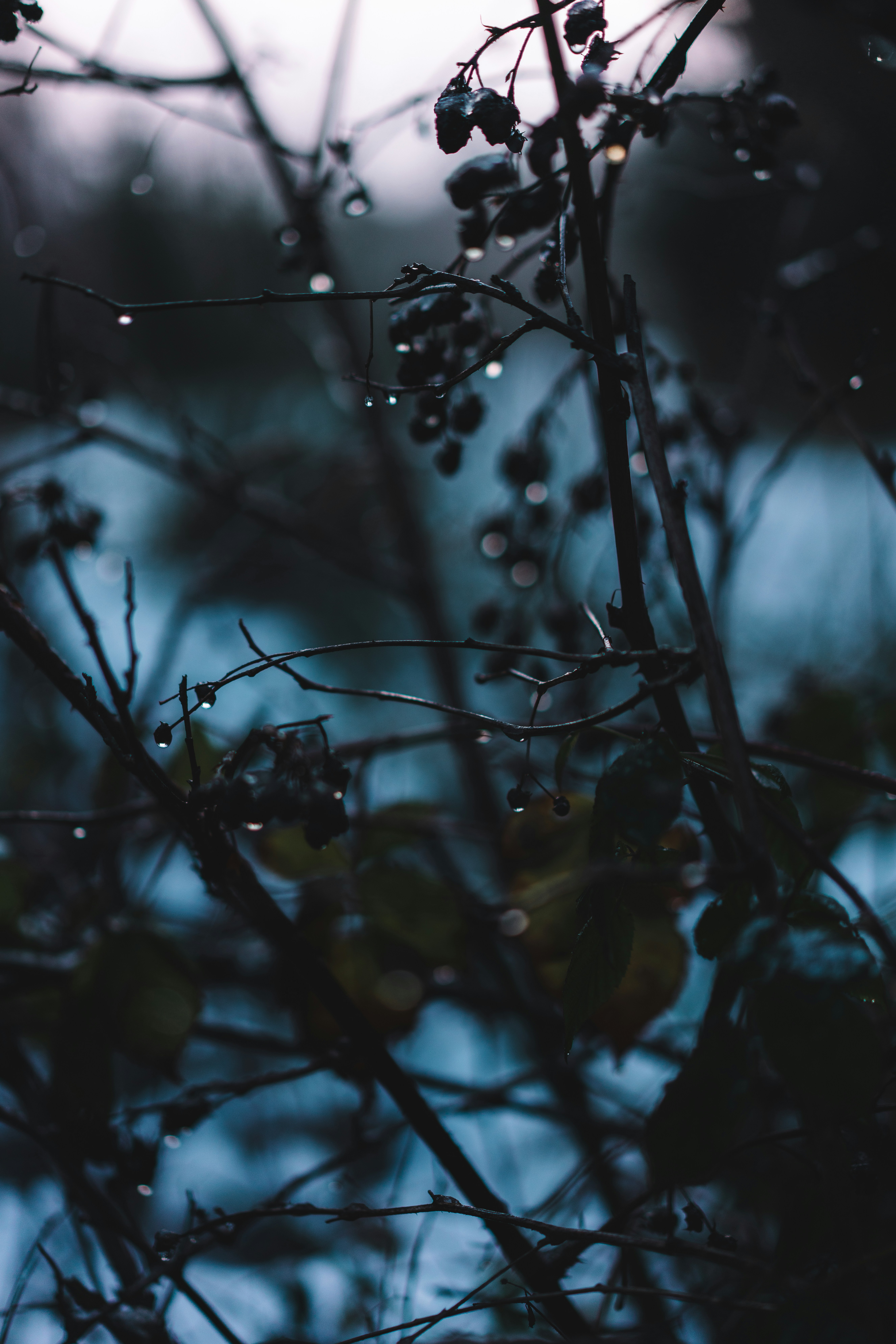 Photo by mirkosphoto