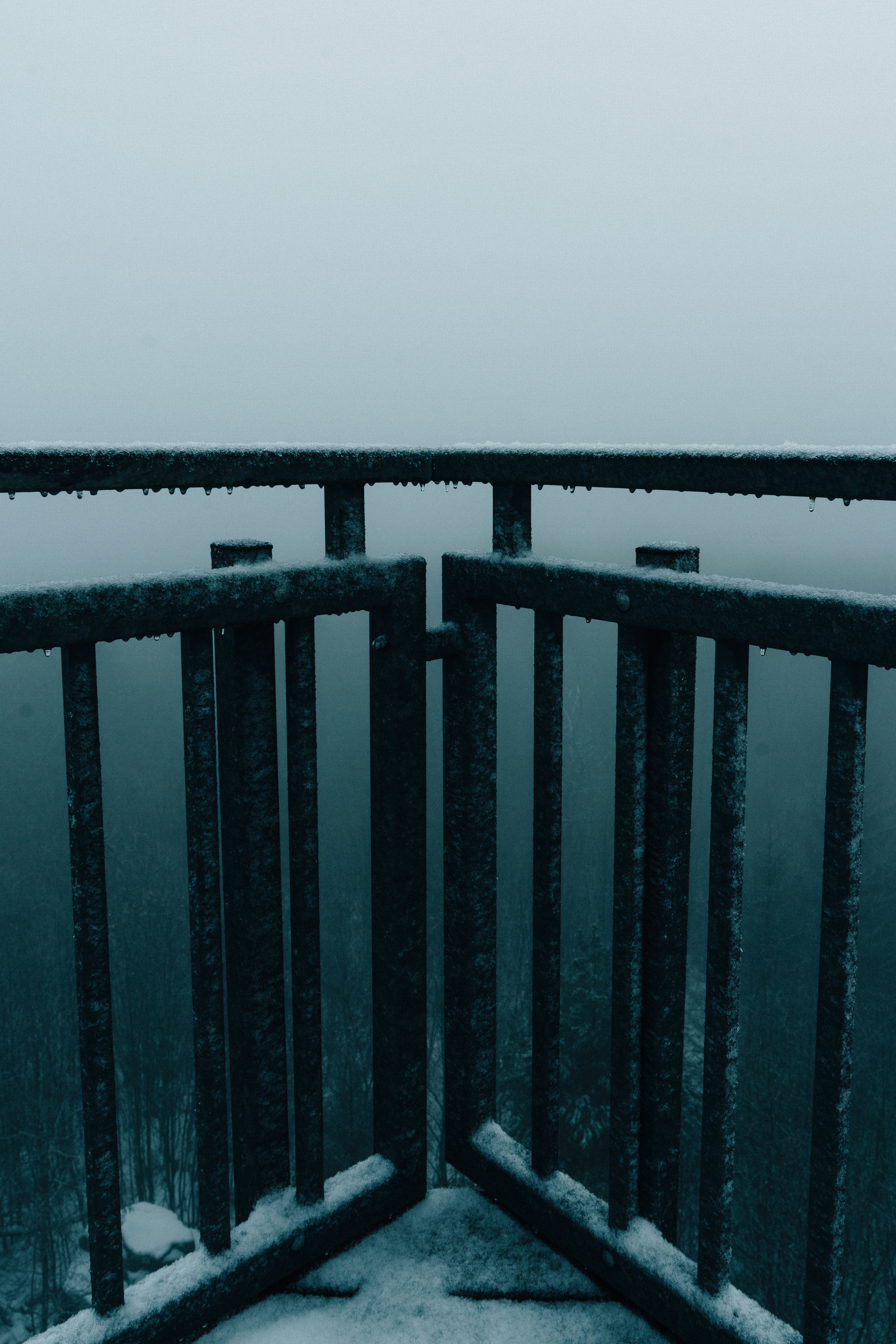 Photo by mirkosphoto