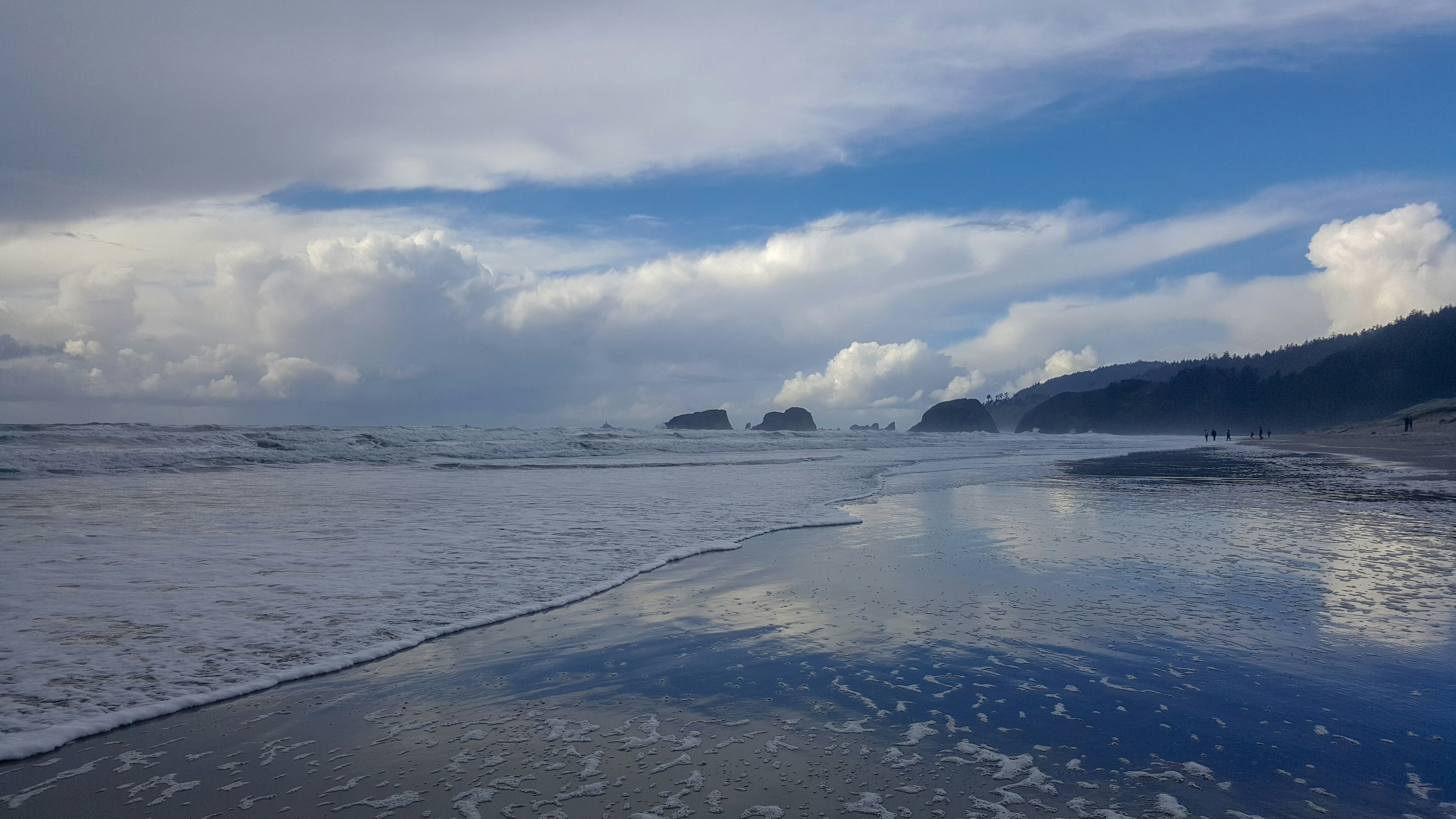 Photo by wispyforestbloke