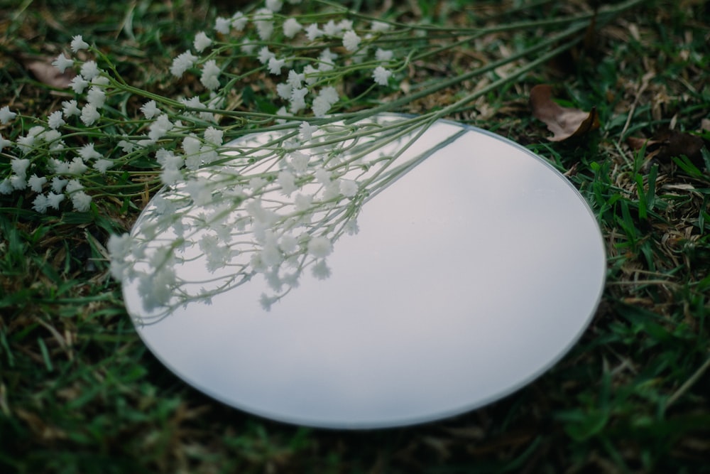 white round ornament on green grass