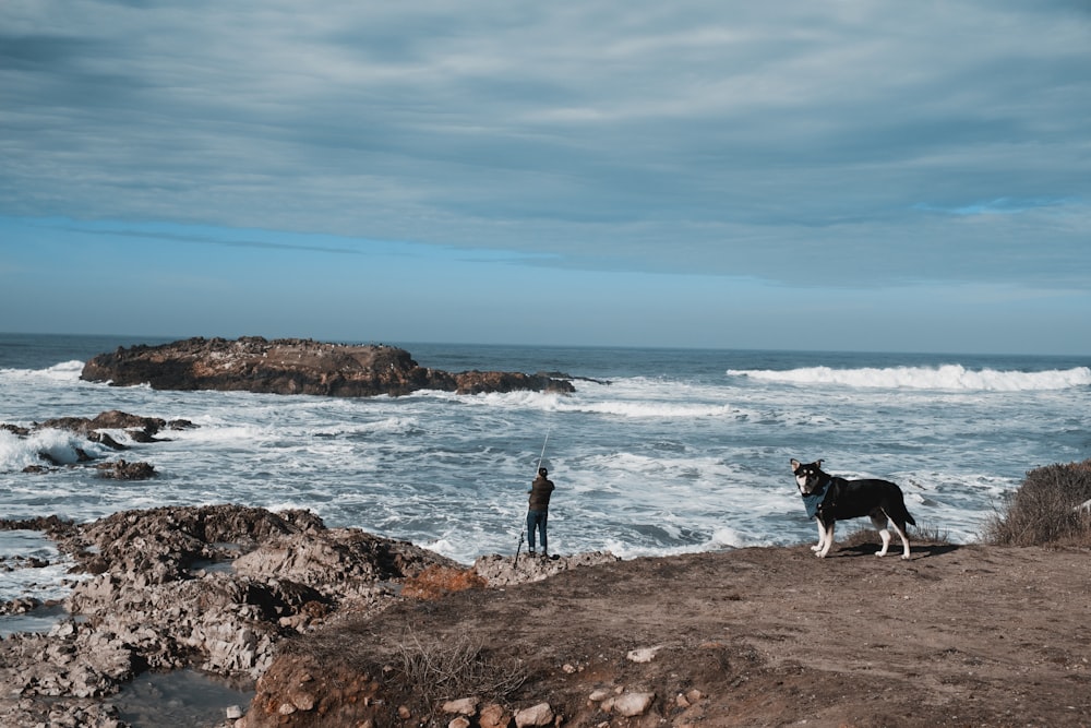 2 people standing on rocky shore near black and white dog during daytime