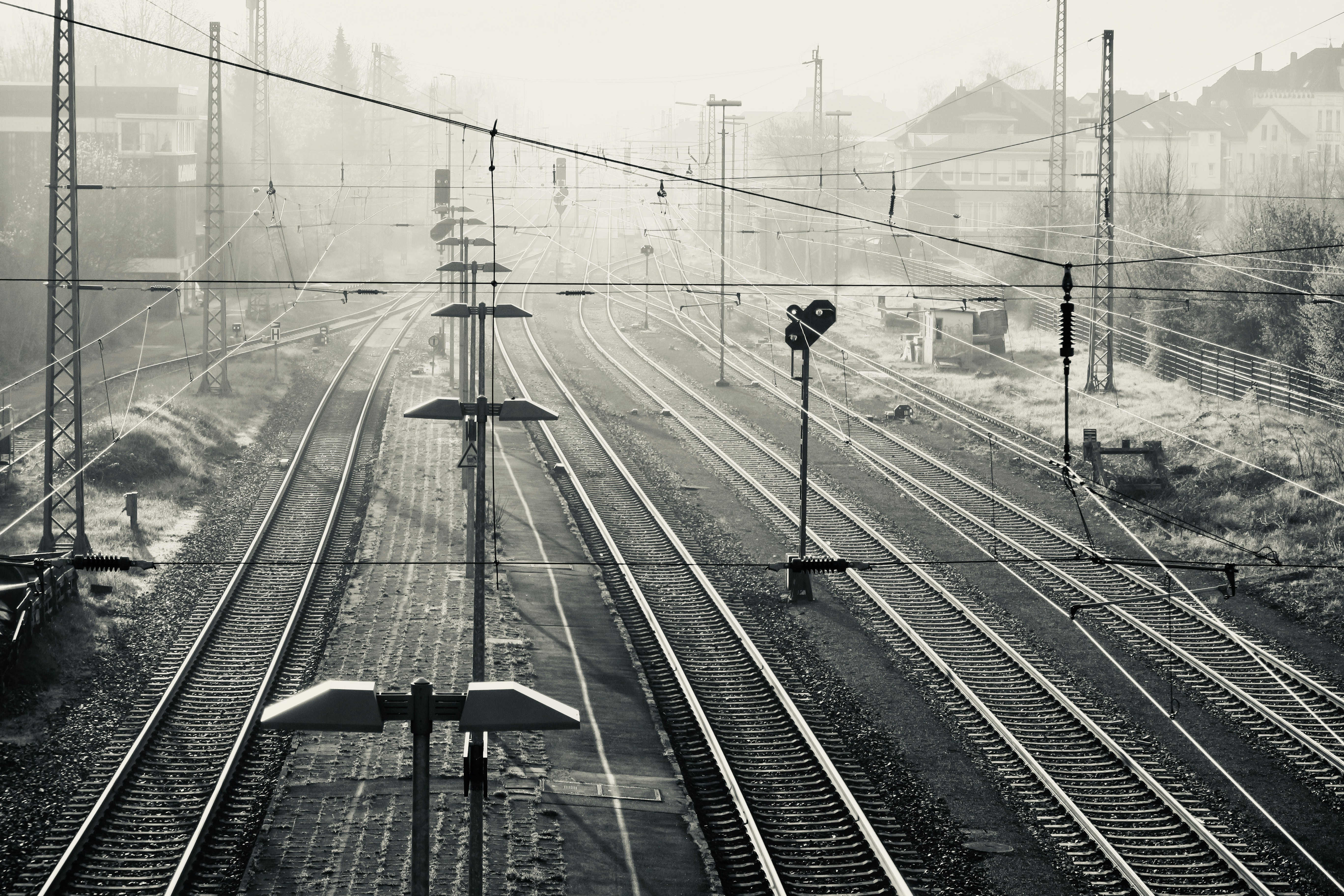 Photo by madison1975