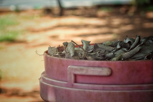 A pink, round plastic container filled with dry, brown leaves. The background is slightly blurred, giving an impression of a natural, outdoor setting with soft lighting and earthy tones.