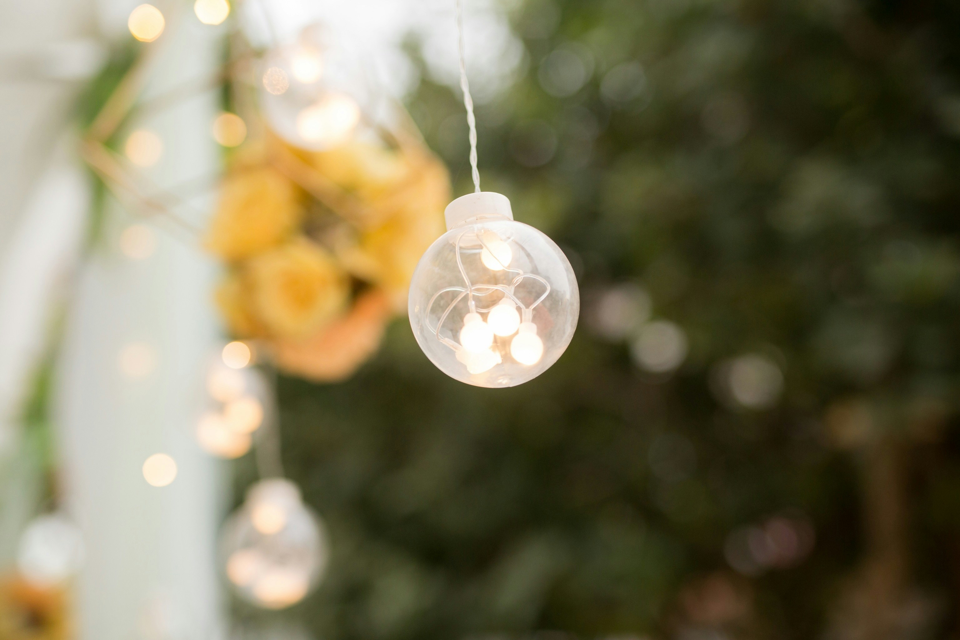 Photo by chaunhan9707