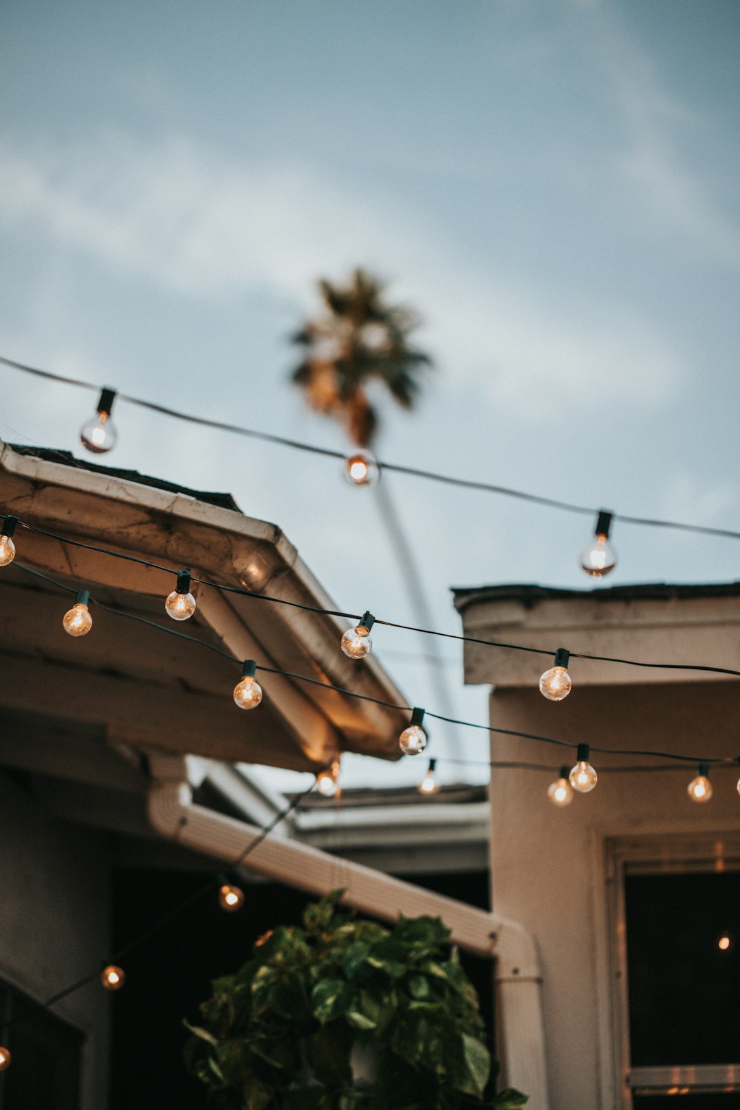 brown string lights on roof