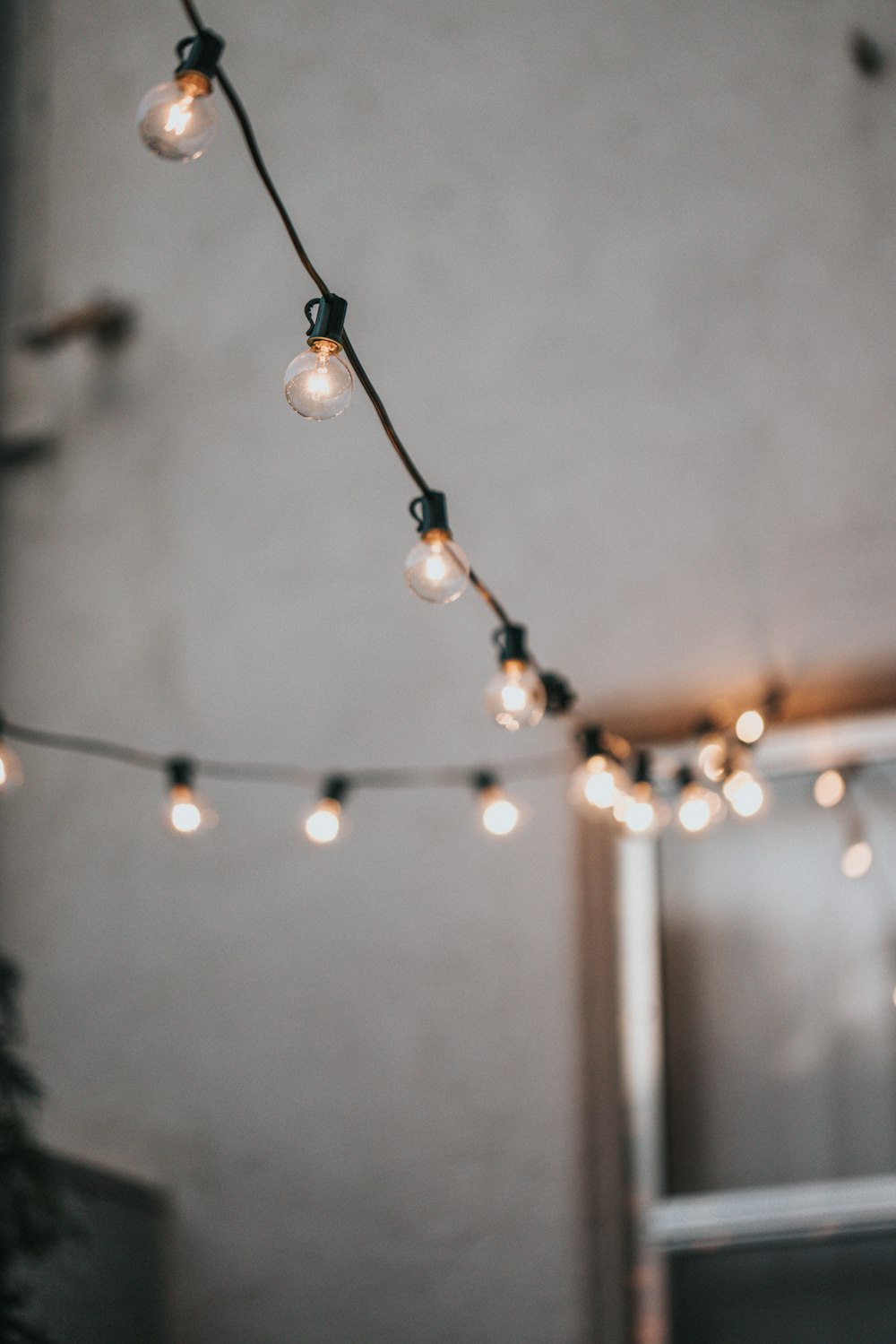 white and brown string lights