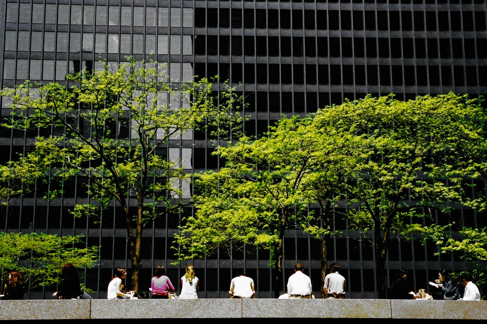 Personas sentadas en un banco cerca de árboles verdes durante el día