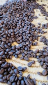 Close-up of rich coffee beans resting against a textured earthy backdrop.
