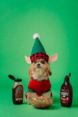 A small dog dressed in an elf costume, complete with a green hat and red coat, sits between two bottles of syrup. In front of the dog, a bowl filled with noodles topped with colorful candy pieces is placed. The background is a bright, solid green, giving a festive and humorous appearance.