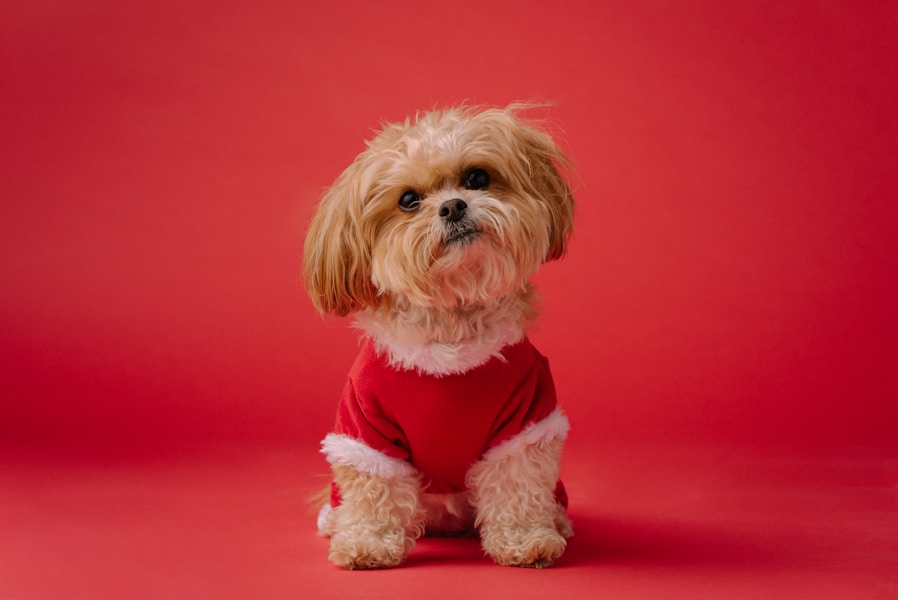 25 Incredible Dog Facts You Probably Didn't Know