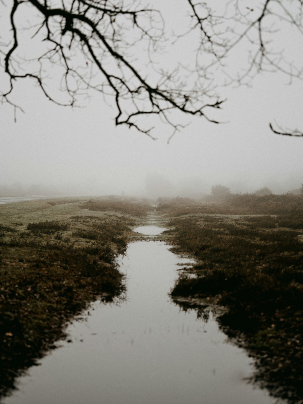 body of water between green grass field during foggy day