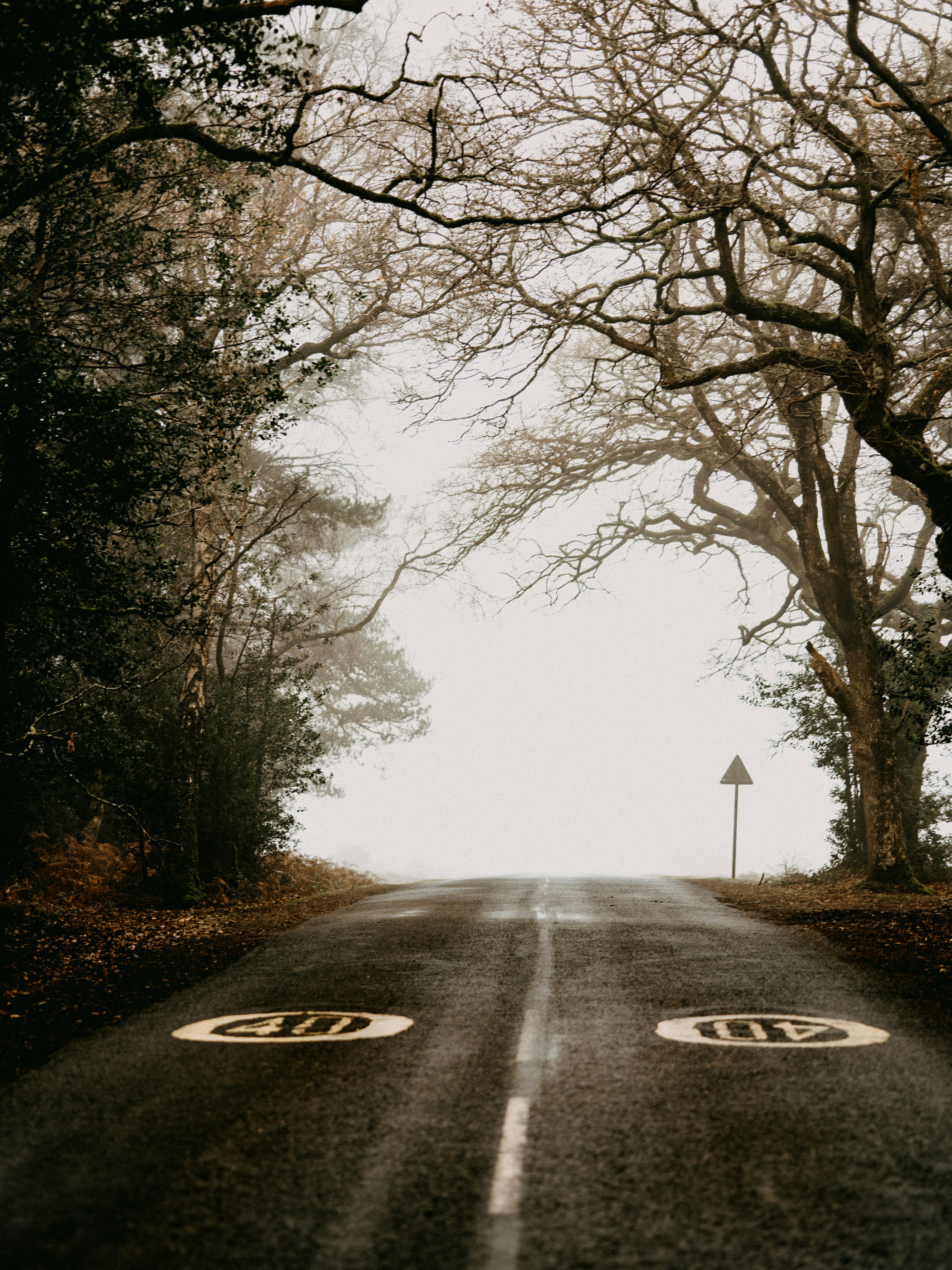 Photo by anniespratt