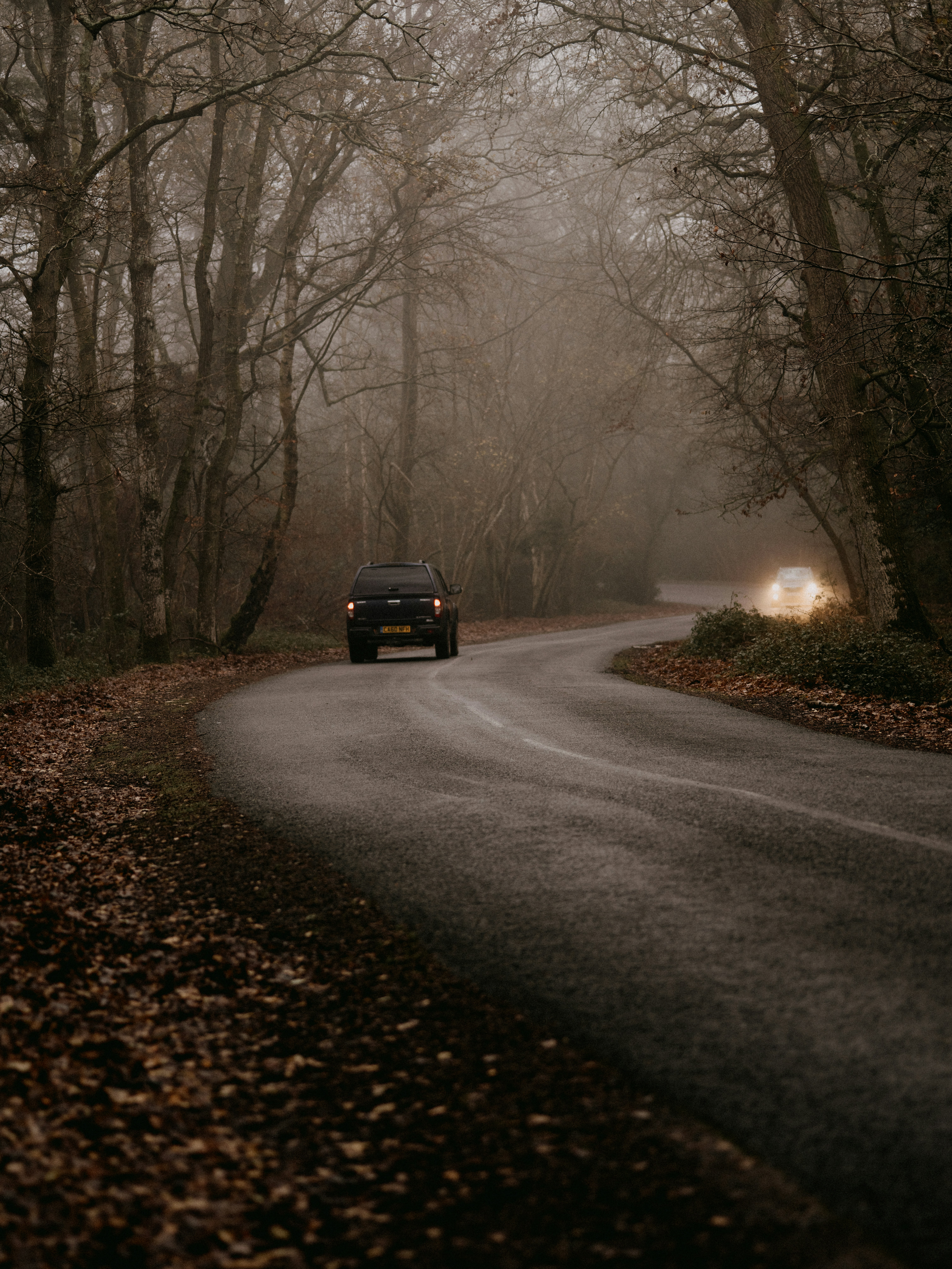 black suv on road between bare trees during daytime