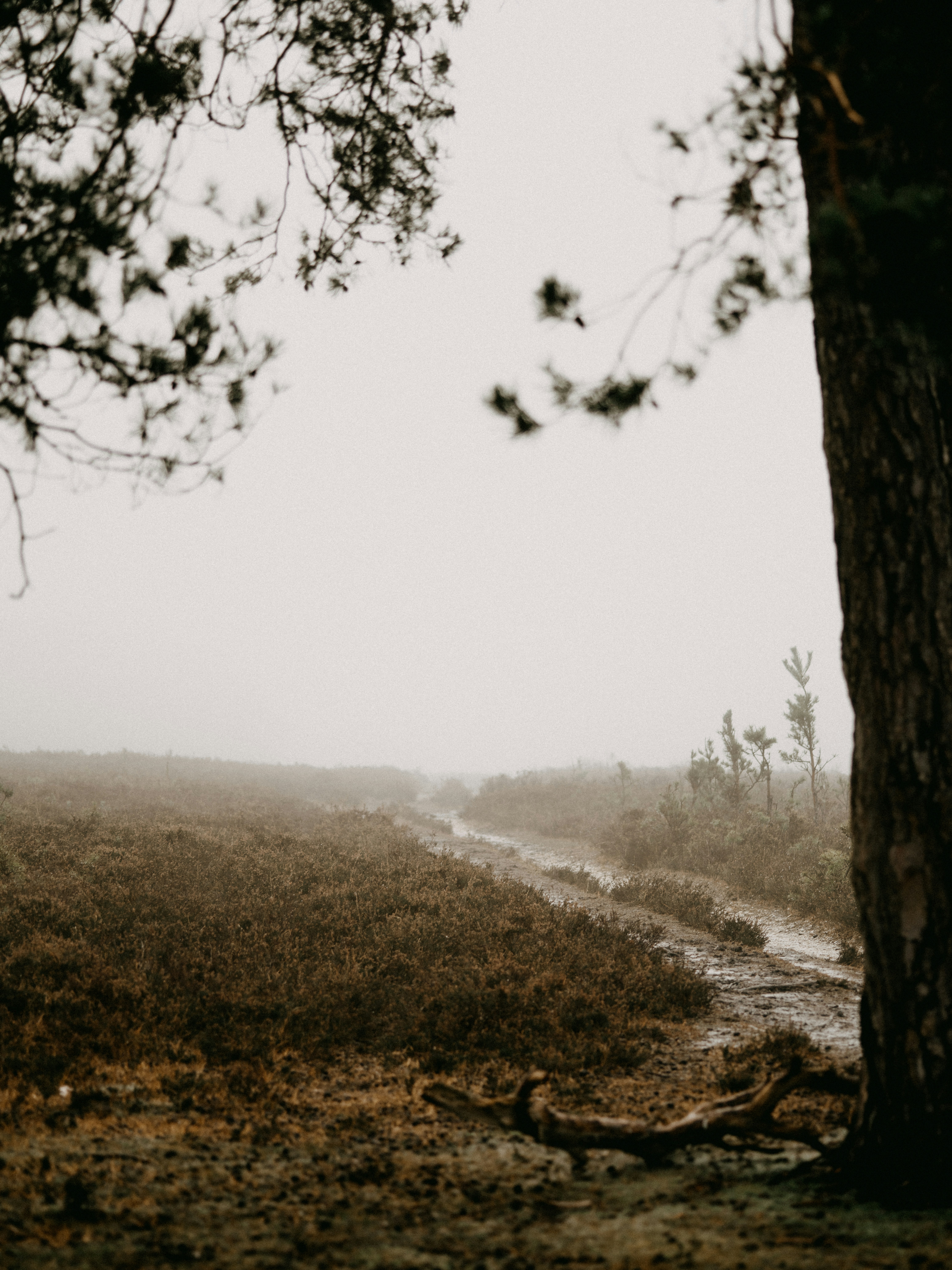 Photo by anniespratt