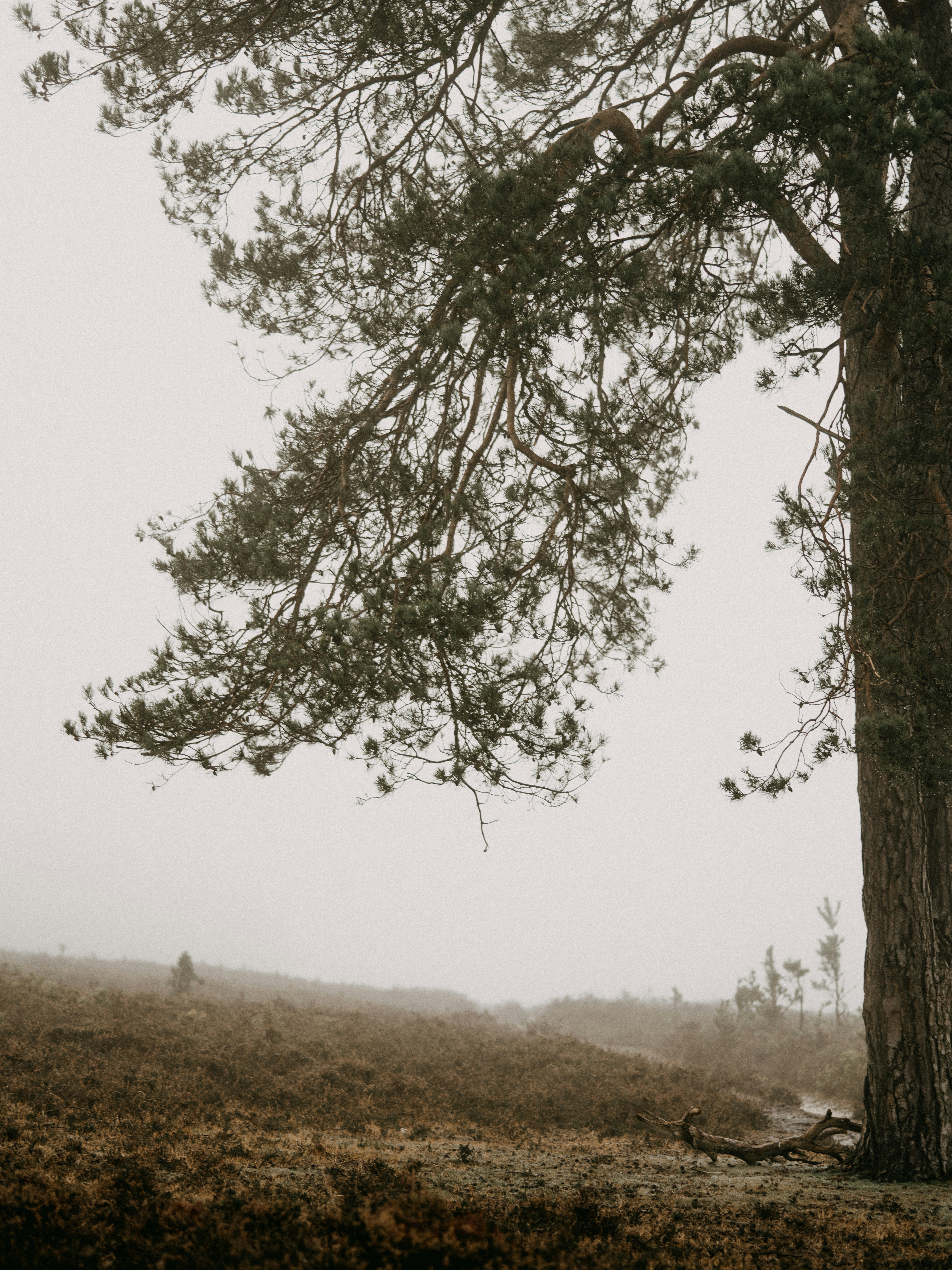 Photo by anniespratt