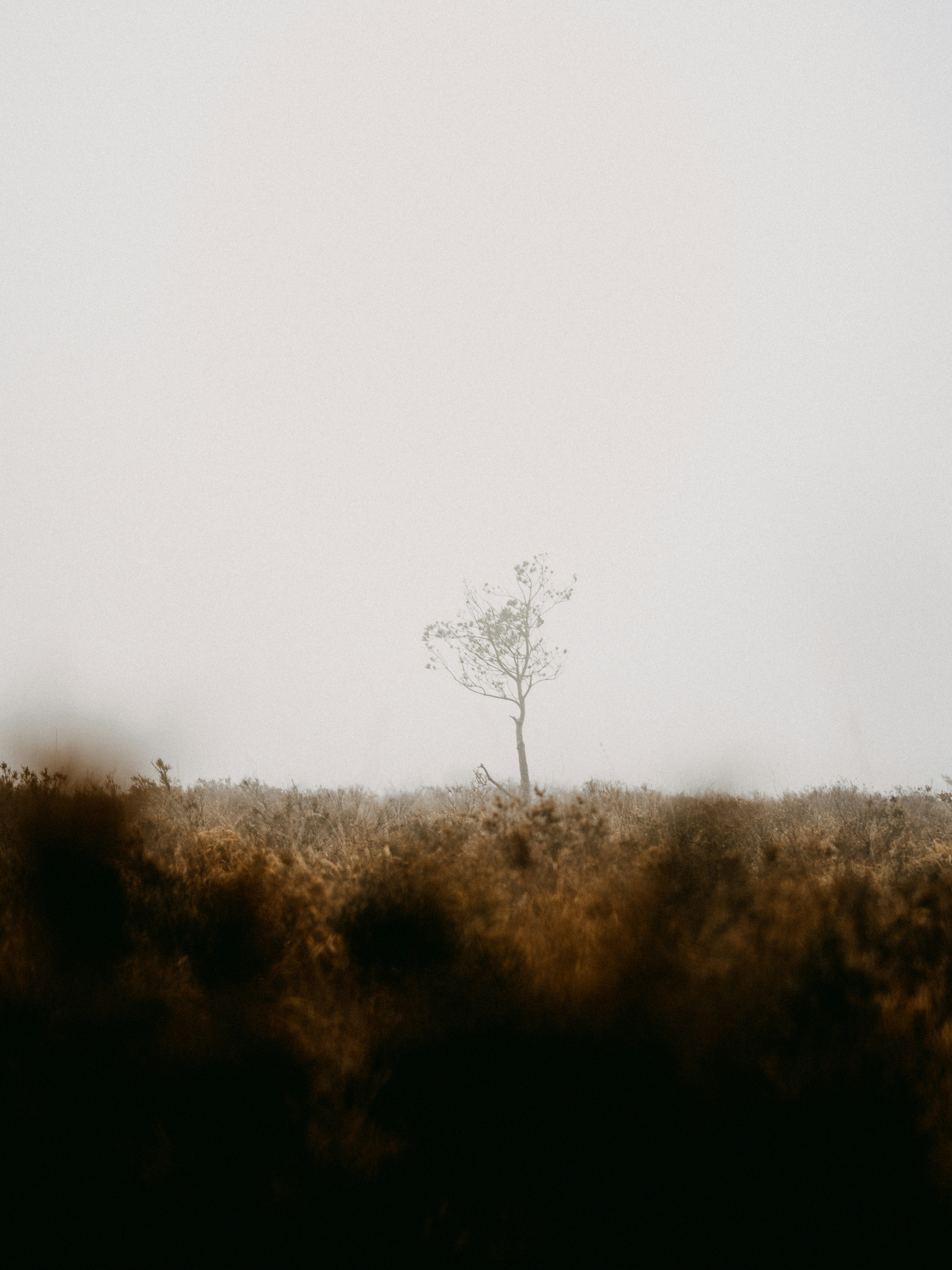 Photo by anniespratt