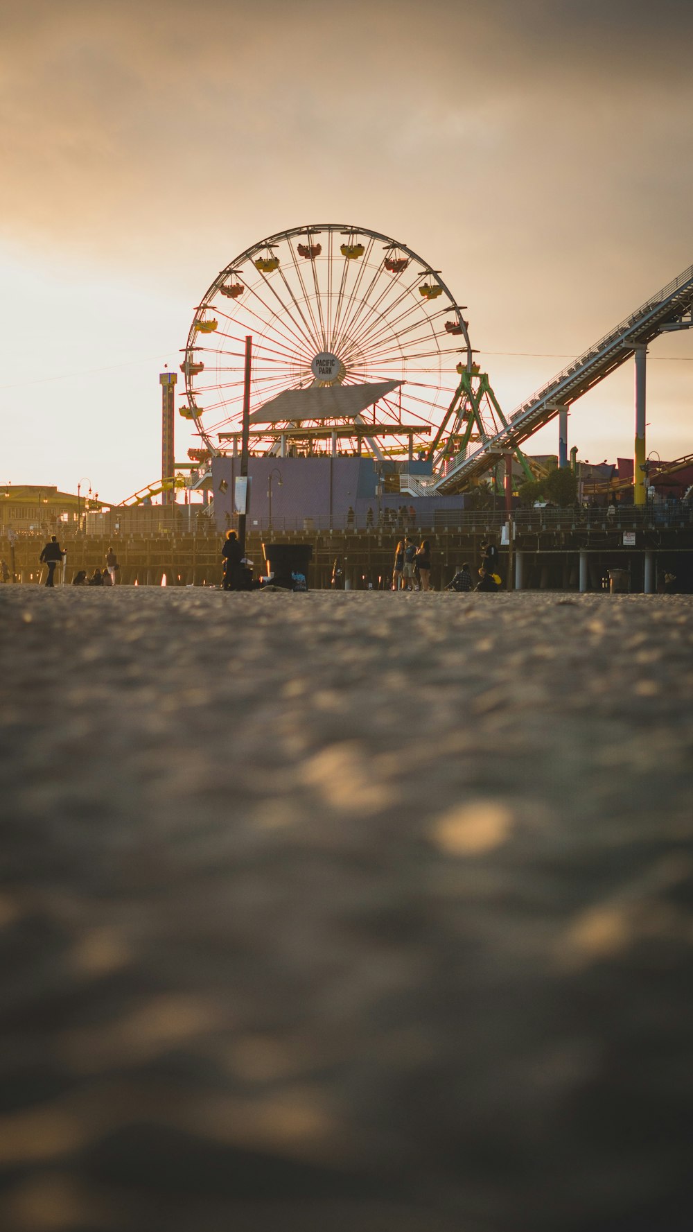 people walking on park during sunset