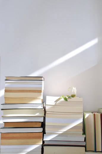 Stacks of books with a small plant on a white surface in sunlight
