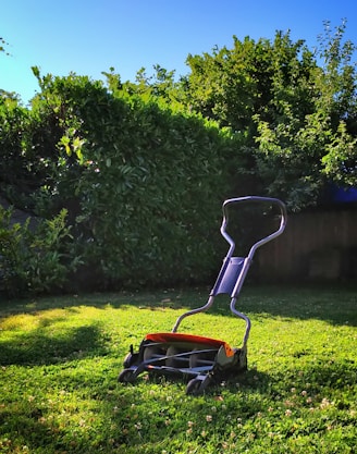 red and black ride on lawn mower on green grass field