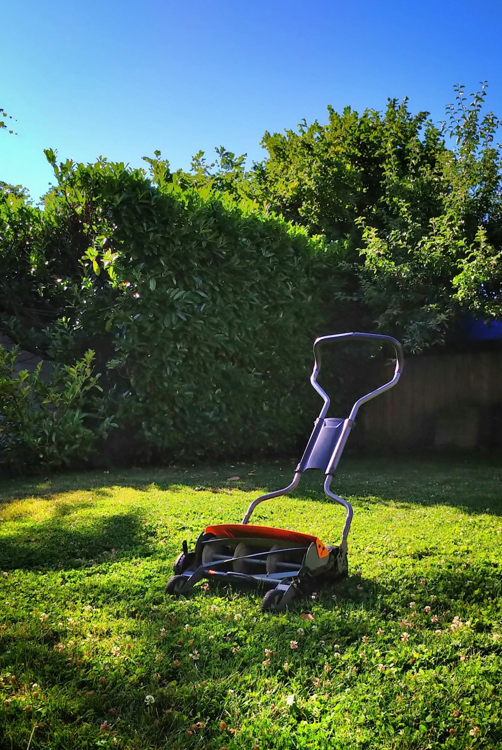 red and black ride on lawn mower on green grass field