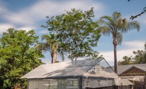 green palm tree near white concrete building during daytime