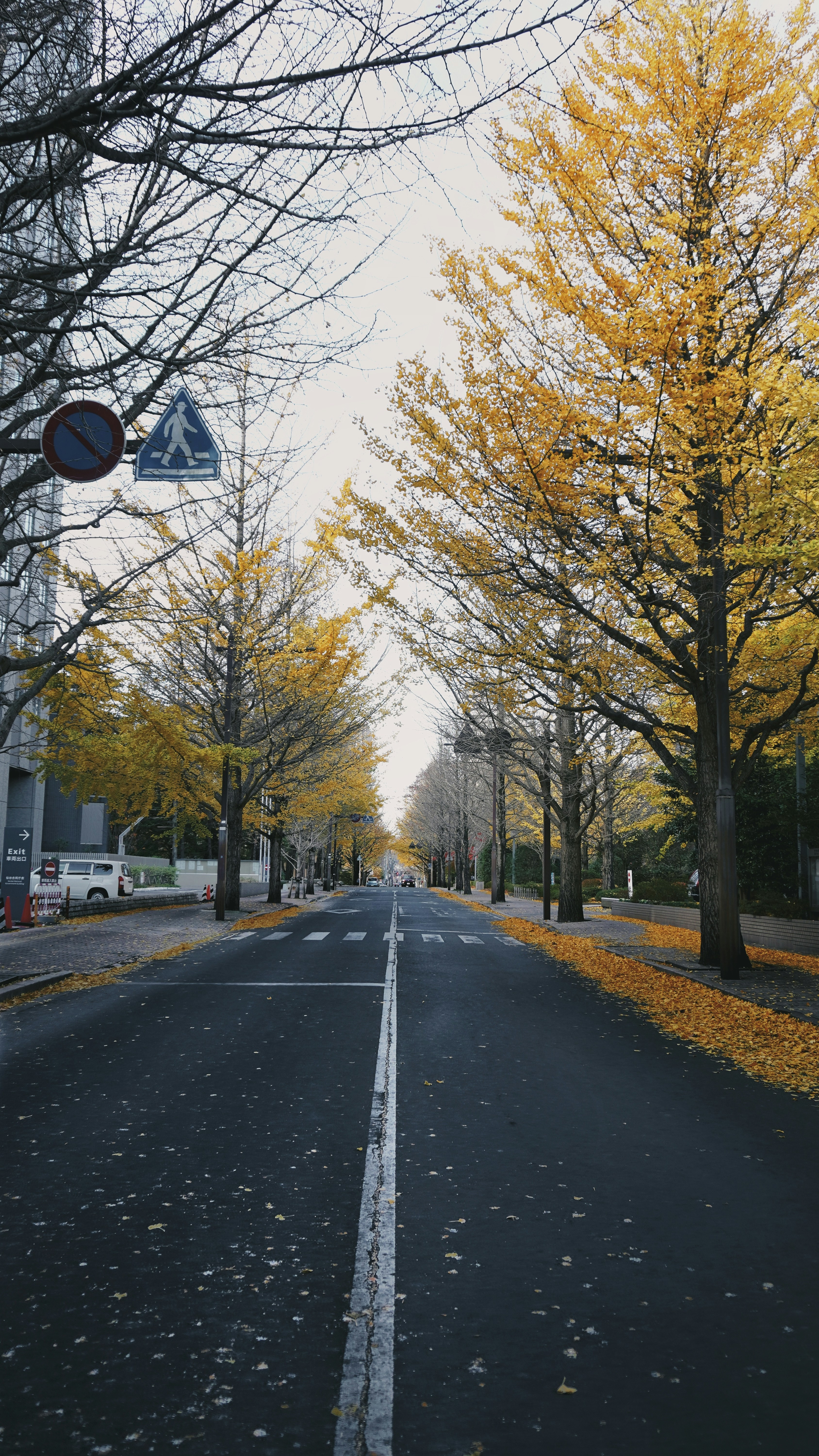 Photo by earth_in_my_eyes