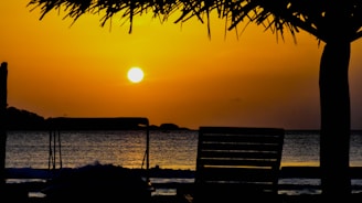silhouette of bench near body of water during sunset