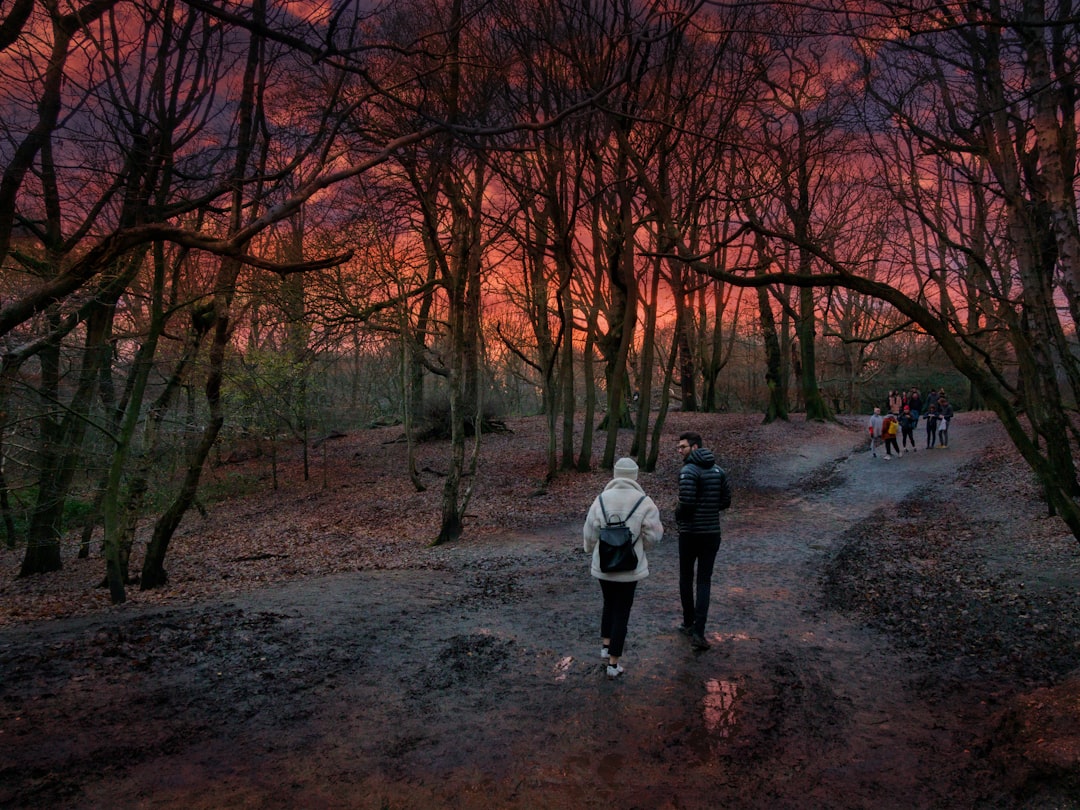 people walking on dirt road in between trees during daytime