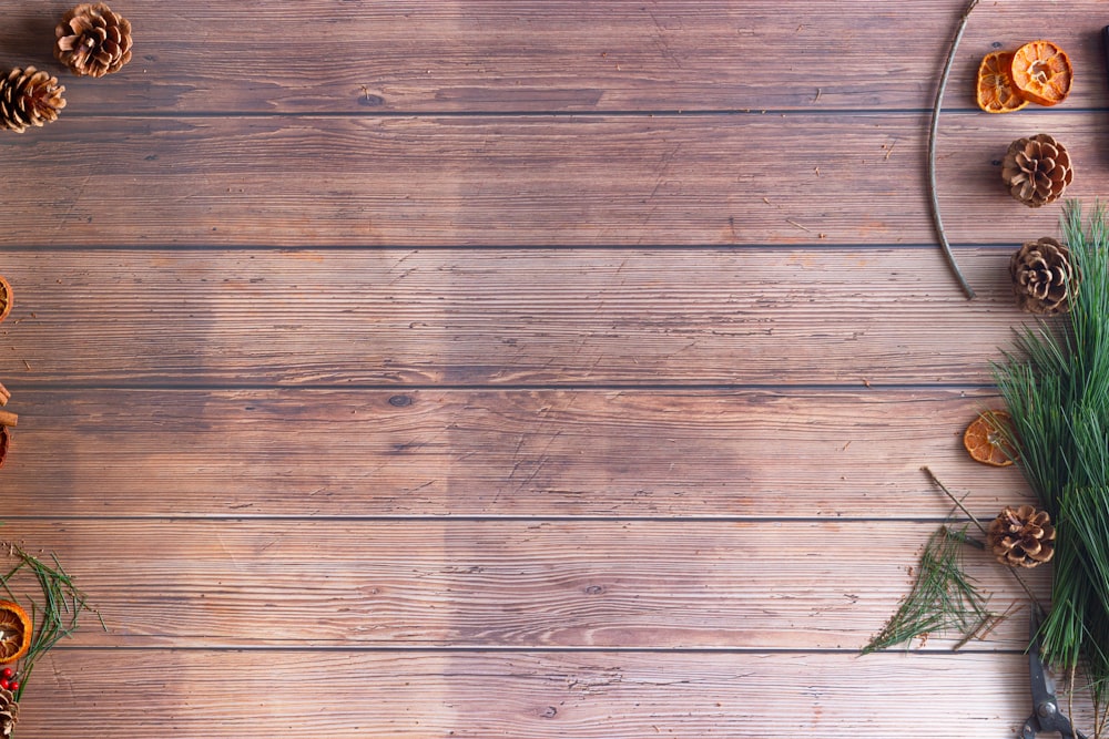 feuille verte sur plancher en bois brun