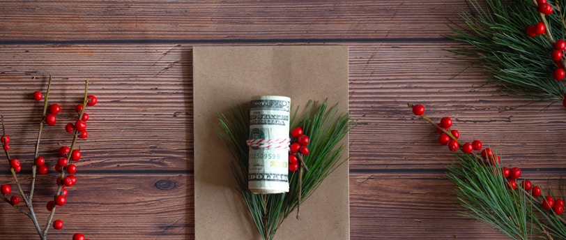 red and green plant on brown wooden wall