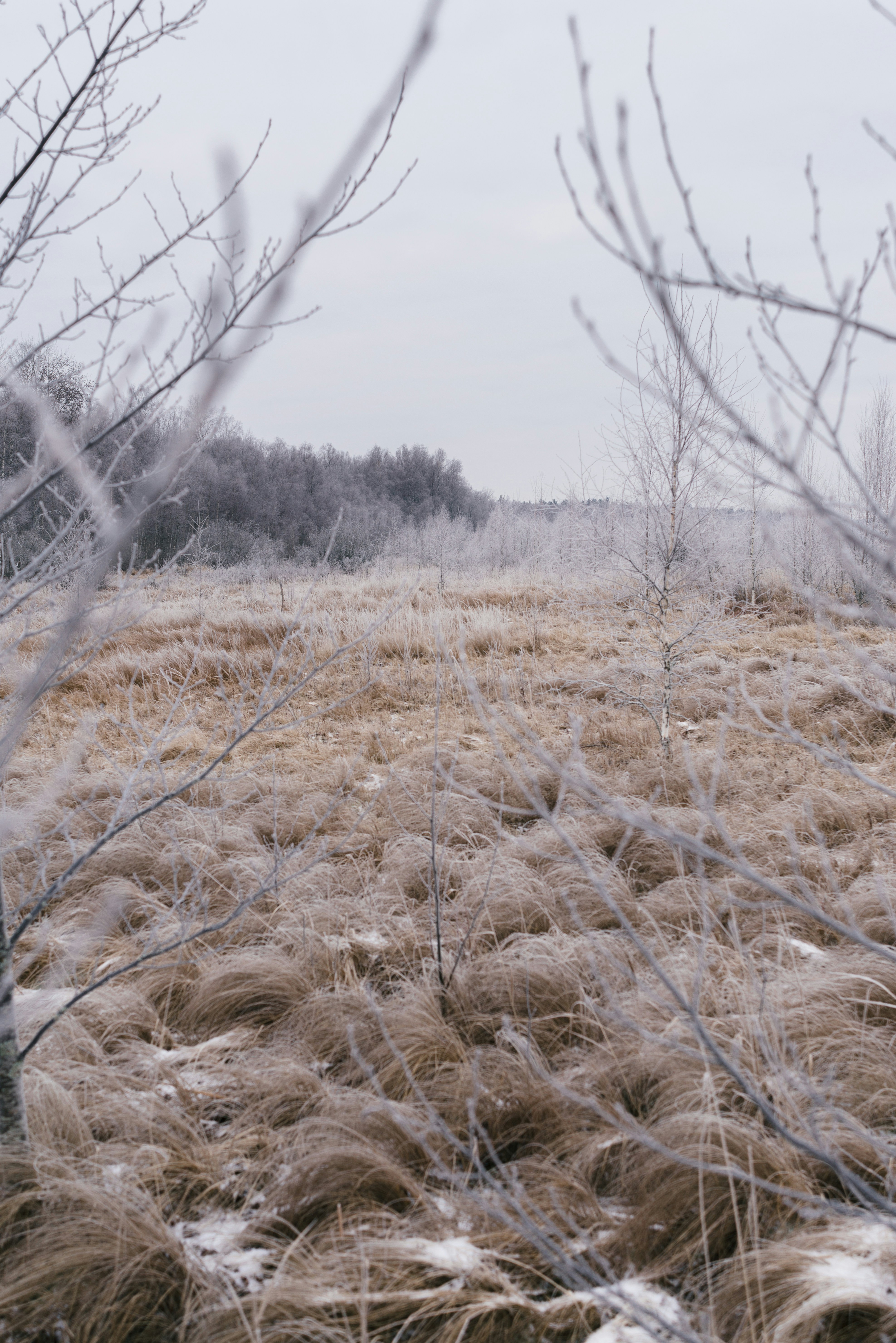Photo by bot_va