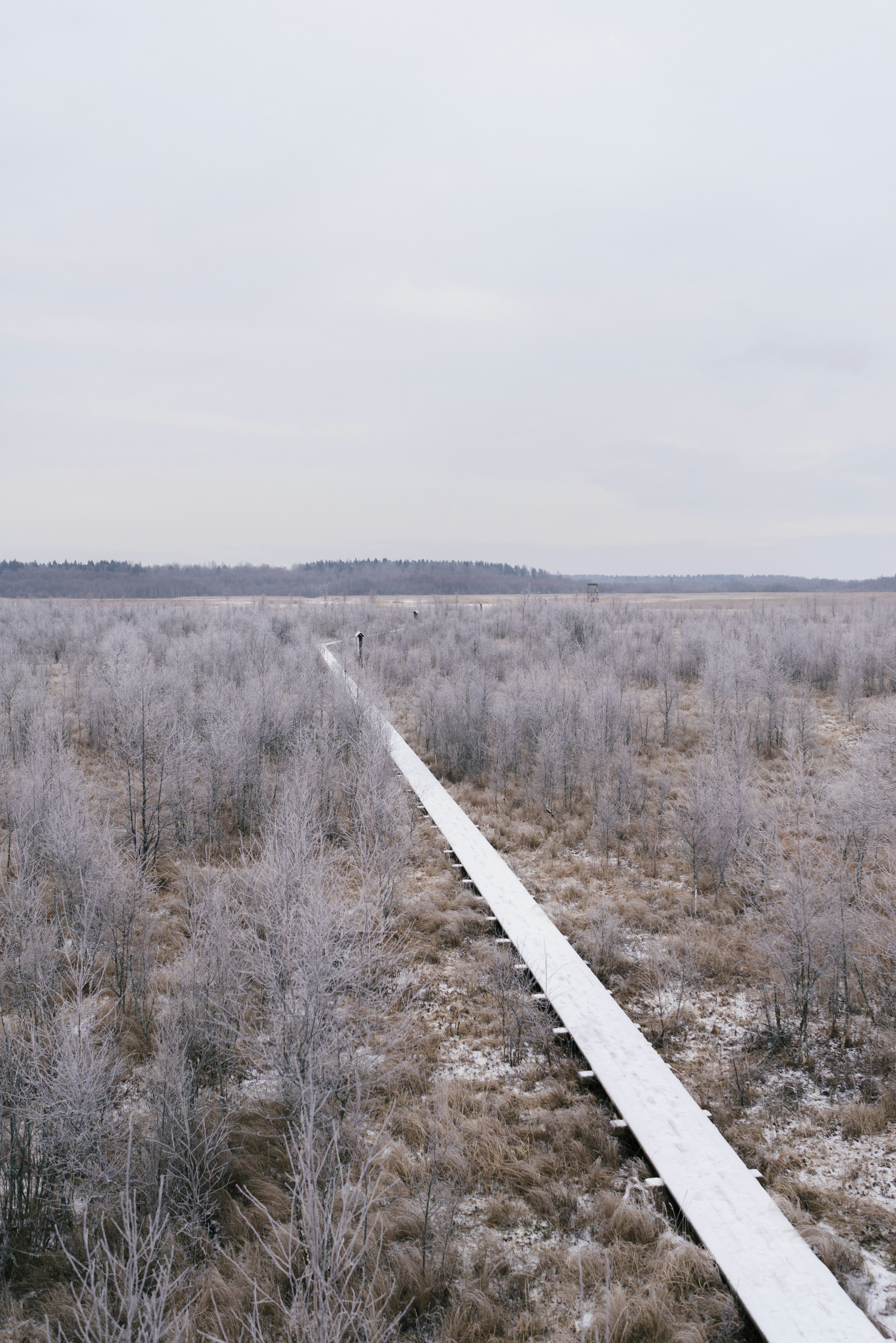 winter rv landscape, wallpaper, RV Winterization: Essential Tips for a Worry-Free Season 6