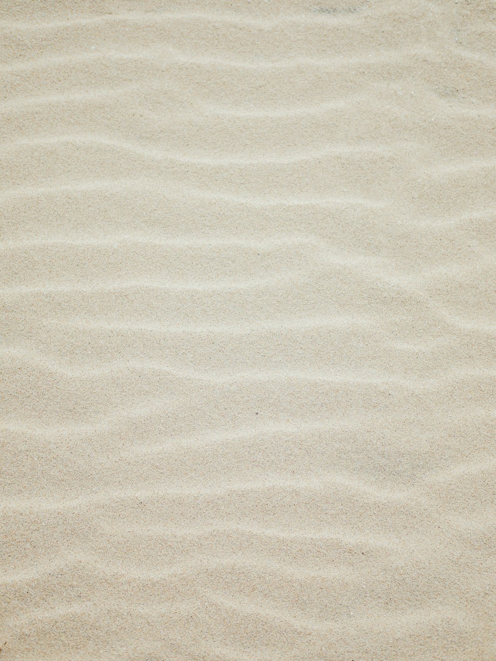 sabbia marrone con ombra di persona