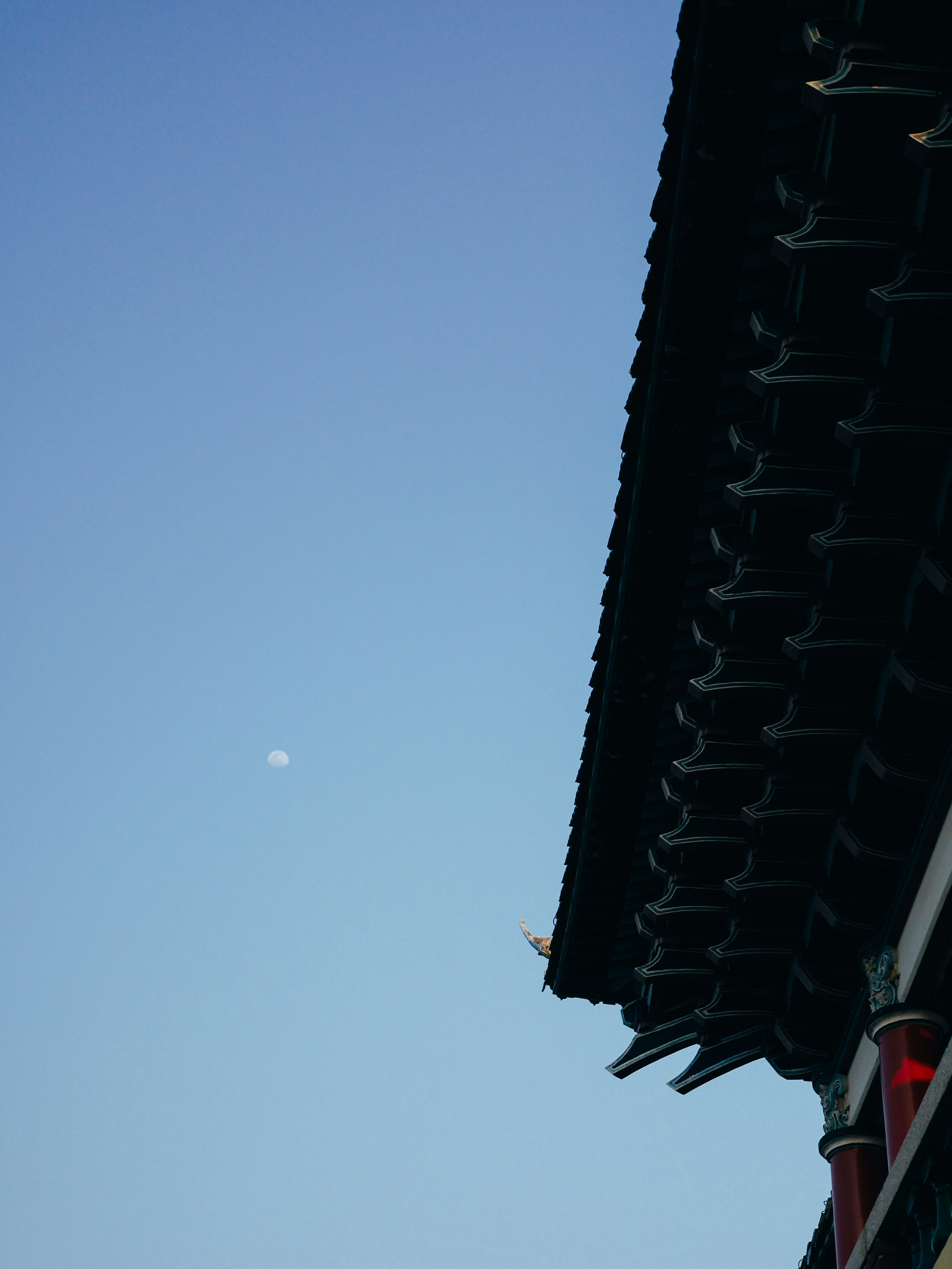Photo by dongsh